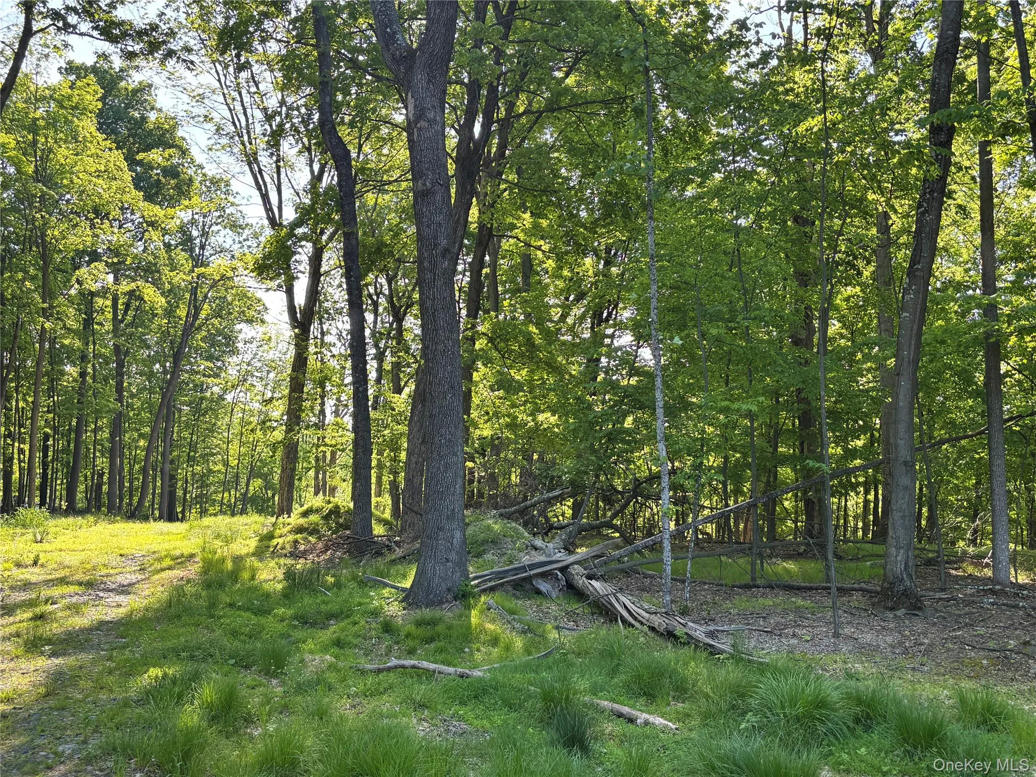 South Plank Road, Minisink, NY, ,Land,For Rent,South Plank,0,1002694 South Plank Road, Minisink, NY, ,Land,For Rent,South Plank,0,1002694