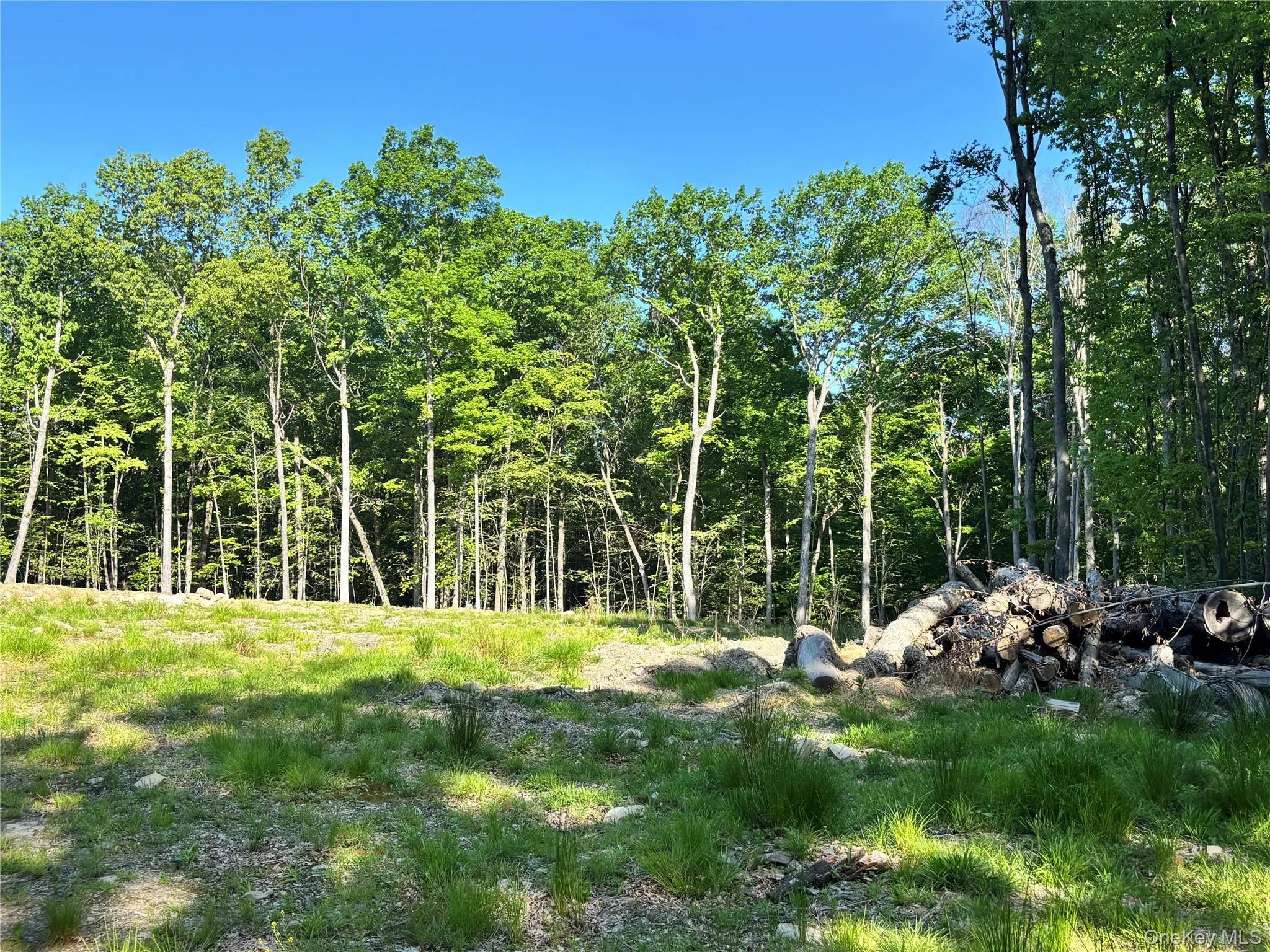 South Plank Road, Minisink, NY, ,Land,For Rent,South Plank,0,1002694 South Plank Road, Minisink, NY, ,Land,For Rent,South Plank,0,1002694