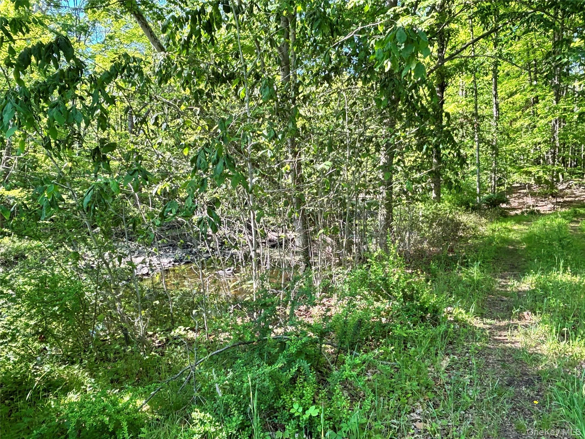 South Plank Road, Minisink, NY, ,Land,For Rent,South Plank,0,1002694 South Plank Road, Minisink, NY, ,Land,For Rent,South Plank,0,1002694