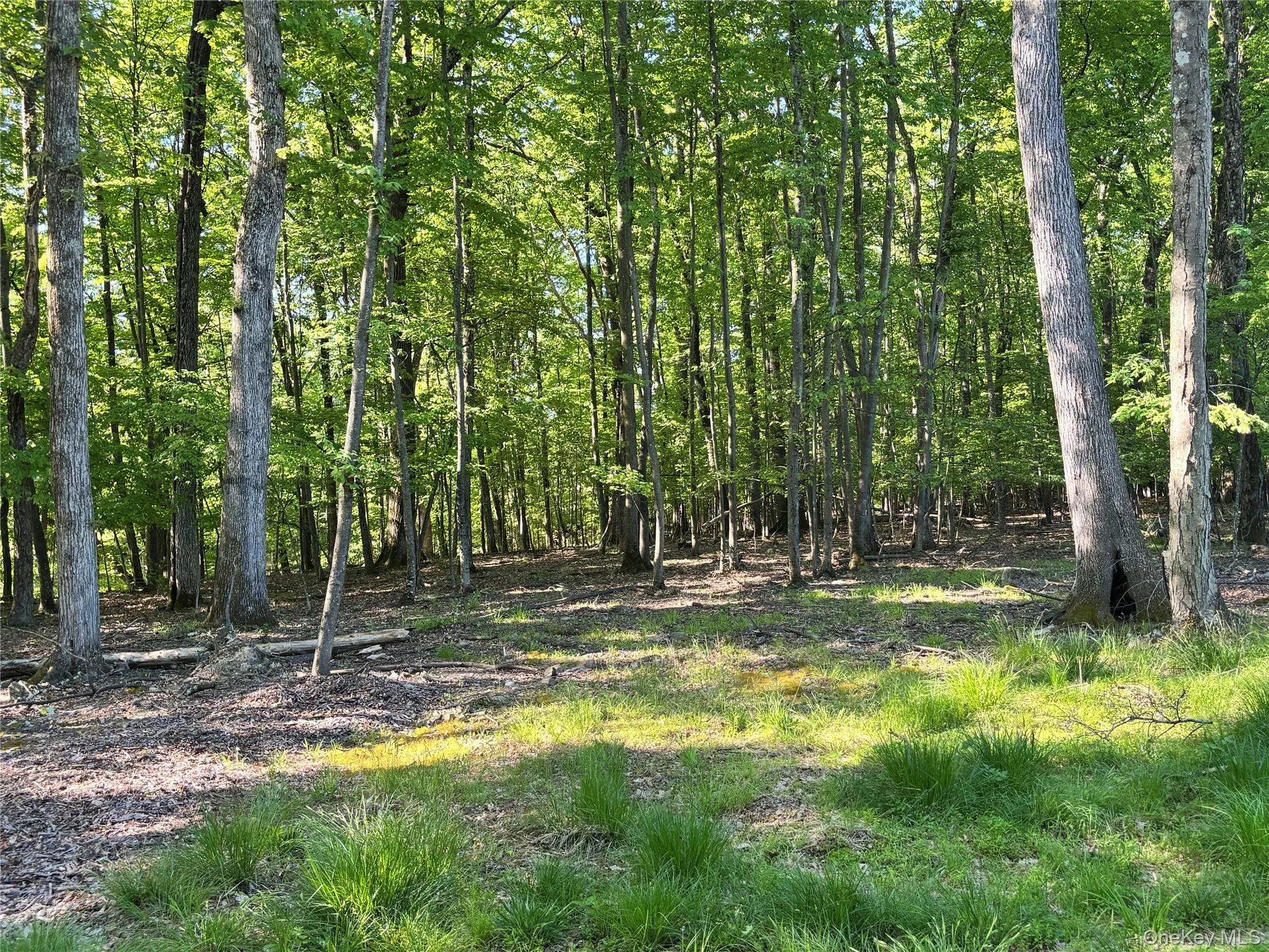 South Plank Road, Minisink, NY, ,Land,For Rent,South Plank,0,1002694 South Plank Road, Minisink, NY, ,Land,For Rent,South Plank,0,1002694