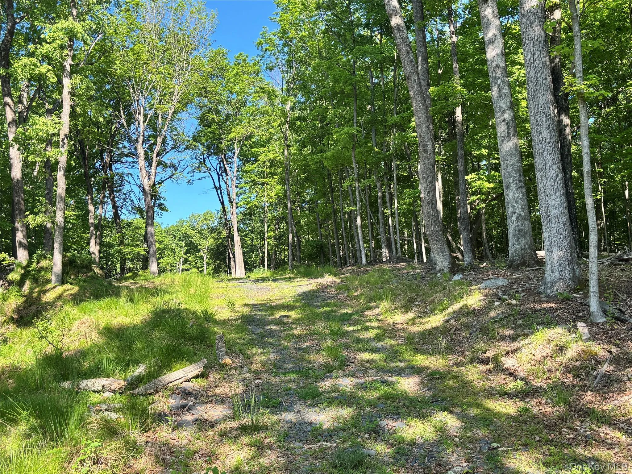 South Plank Road, Minisink, NY, ,Land,For Rent,South Plank,0,1002694 South Plank Road, Minisink, NY, ,Land,For Rent,South Plank,0,1002694