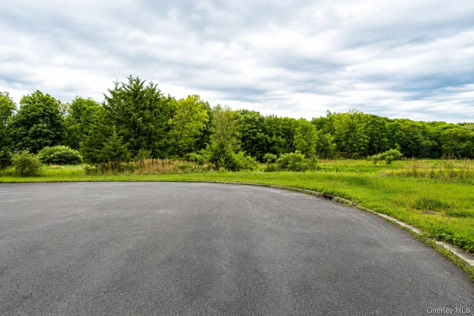 492 Black Meadow Road, Chester Town, NY, ,Land,For Rent,Black Meadow,0,1002697 492 Black Meadow Road, Chester Town, NY, ,Land,For Rent,Black Meadow,0,1002697