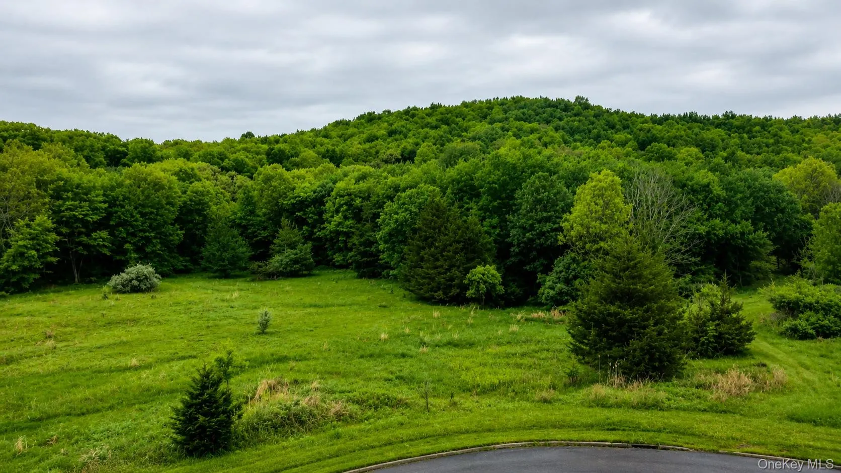 492 Black Meadow Road, Chester Town, NY, ,Land,For Rent,Black Meadow,0,1002697 492 Black Meadow Road, Chester Town, NY, ,Land,For Rent,Black Meadow,0,1002697
