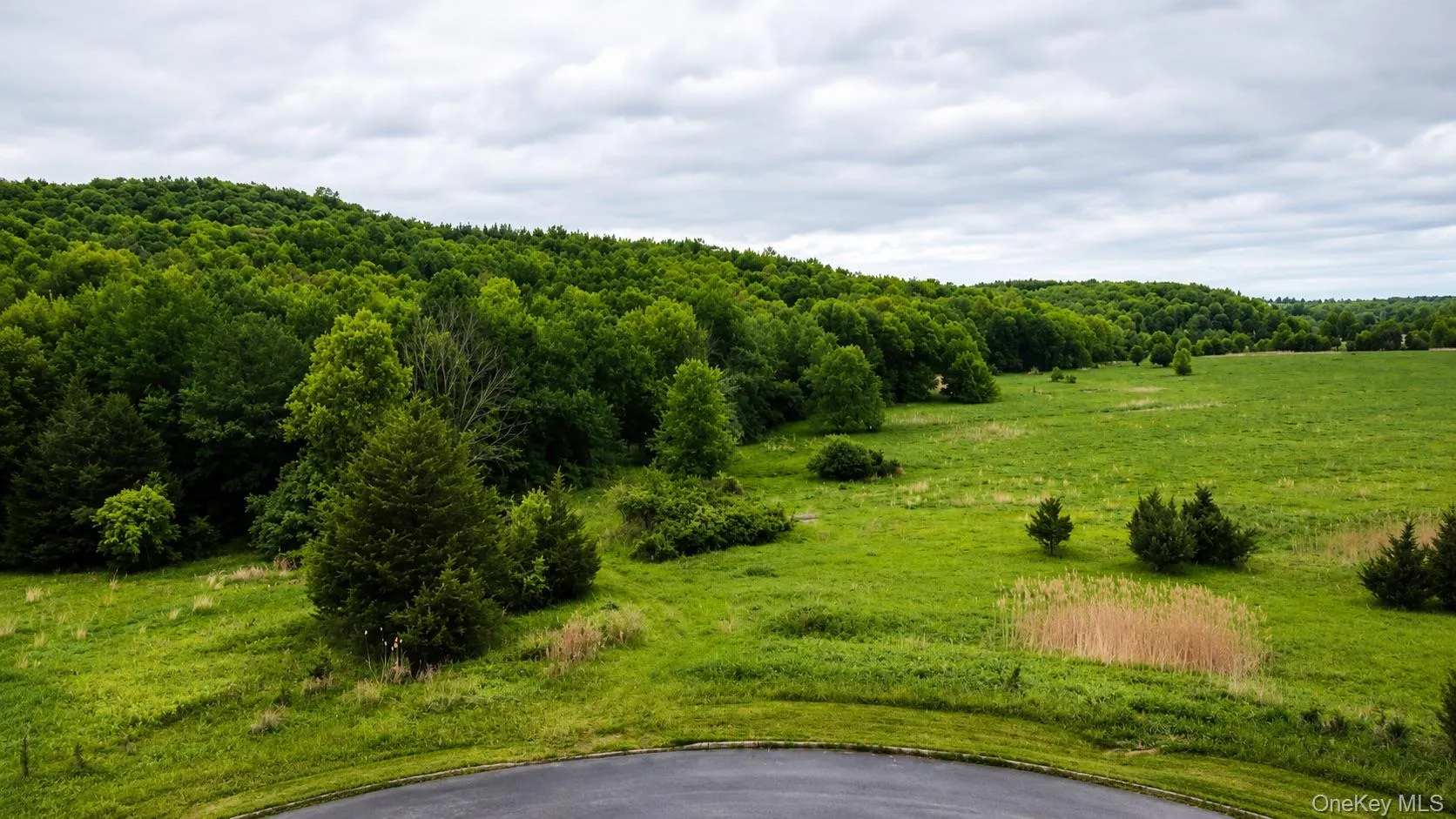 492 Black Meadow Road, Chester Town, NY, ,Land,For Rent,Black Meadow,0,1002697 492 Black Meadow Road, Chester Town, NY, ,Land,For Rent,Black Meadow,0,1002697