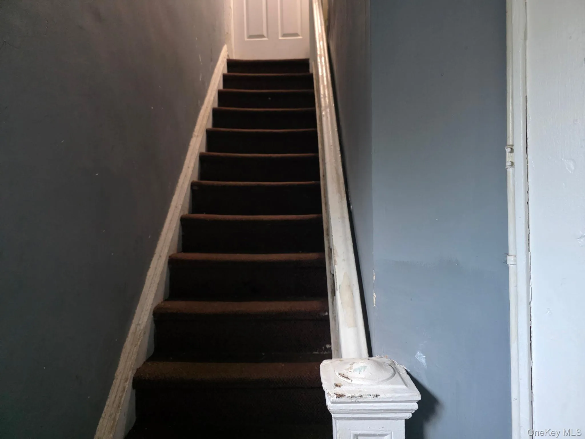 22 Webb Avenue, Hempstead, NY, 4 Bedrooms Bedrooms, 7 Rooms Rooms,3 BathroomsBathrooms,Residential,For Rent,Webb,0,1002701 22 Webb Avenue, Hempstead, NY, 4 Bedrooms Bedrooms, 7 Rooms Rooms,3 BathroomsBathrooms,Residential,For Rent,Webb,0,1002701
