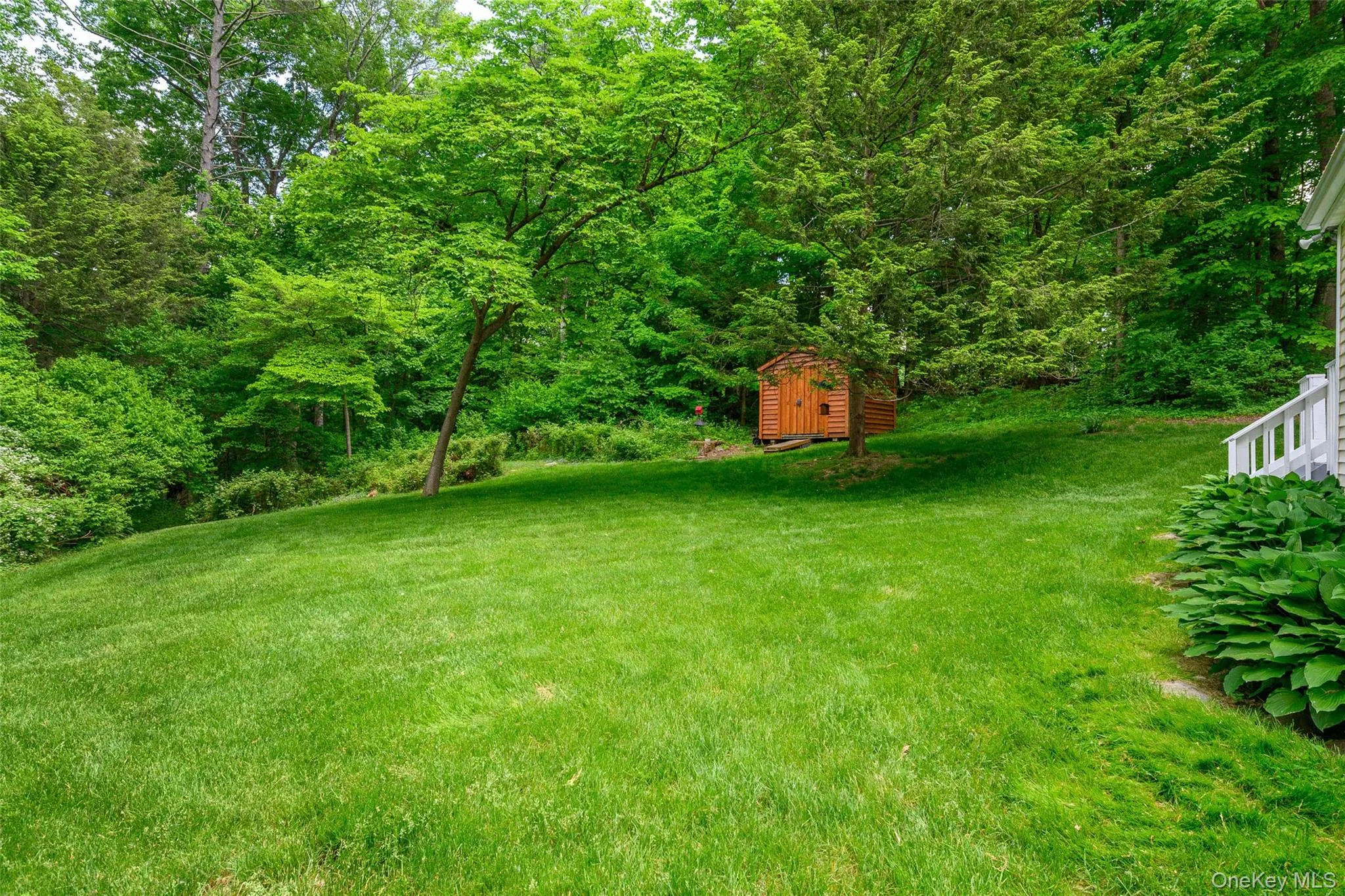 23 Cobey Terrace, Poughkeepsie, NY, 3 Bedrooms Bedrooms, 7 Rooms Rooms,1 BathroomBathrooms,Residential,For Rent,Cobey,0,1002704 23 Cobey Terrace, Poughkeepsie, NY, 3 Bedrooms Bedrooms, 7 Rooms Rooms,1 BathroomBathrooms,Residential,For Rent,Cobey,0,1002704