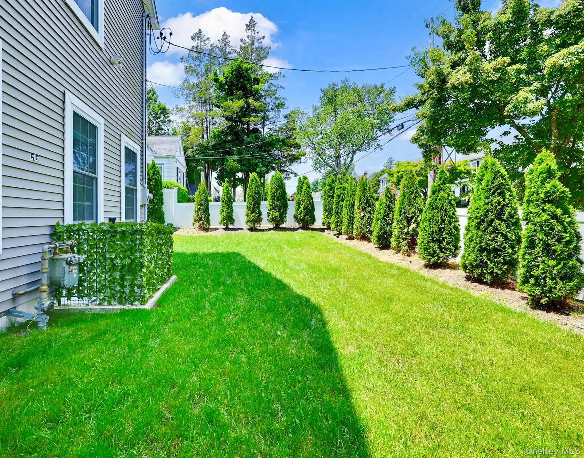 Side Yard Side Yard