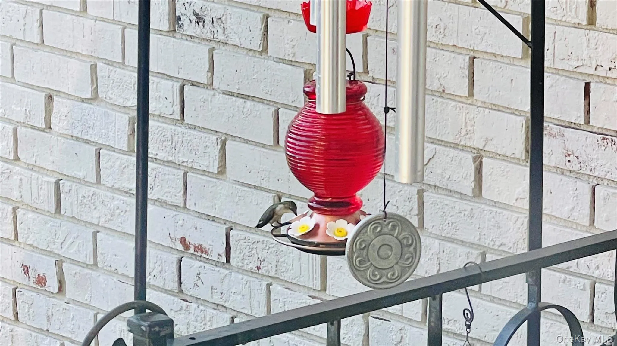 Enjoy Nature while sitting on front porch -- Humming Bird visit Enjoy Nature while sitting on front porch -- Humming Bird visit