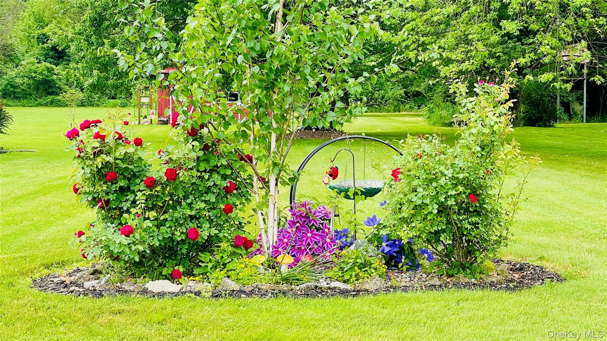 Rose/Flower Garden in front yard. Rose/Flower Garden in front yard.