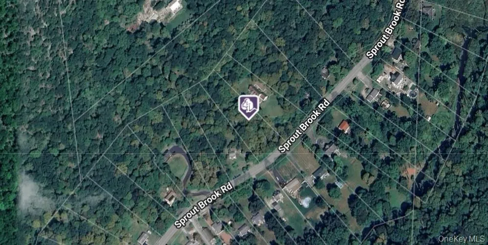 Google Map Google Map