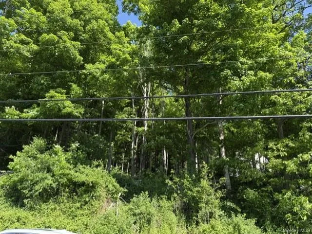 487 Sprout Brook Road, Philipstown, NY, ,Land,For Rent,Sprout Brook,0,1002749 487 Sprout Brook Road, Philipstown, NY, ,Land,For Rent,Sprout Brook,0,1002749
