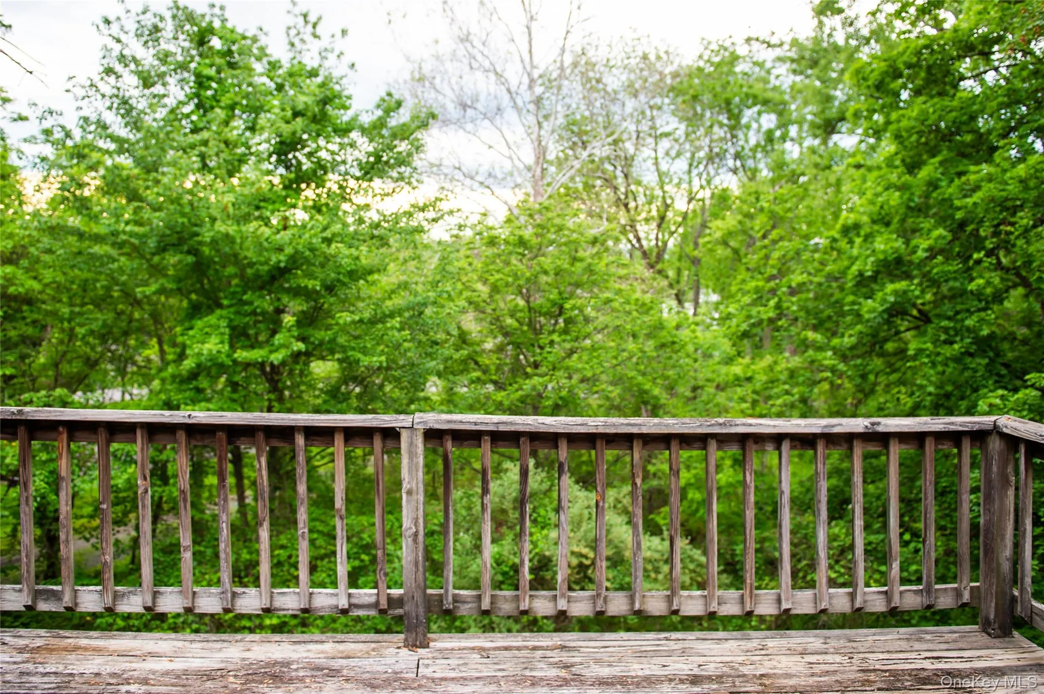 12 Chaucer Road, Hyde Park, NY, 3 Bedrooms Bedrooms, 8 Rooms Rooms,2 BathroomsBathrooms,Residential,For Rent,Chaucer,0,1002764 12 Chaucer Road, Hyde Park, NY, 3 Bedrooms Bedrooms, 8 Rooms Rooms,2 BathroomsBathrooms,Residential,For Rent,Chaucer,0,1002764