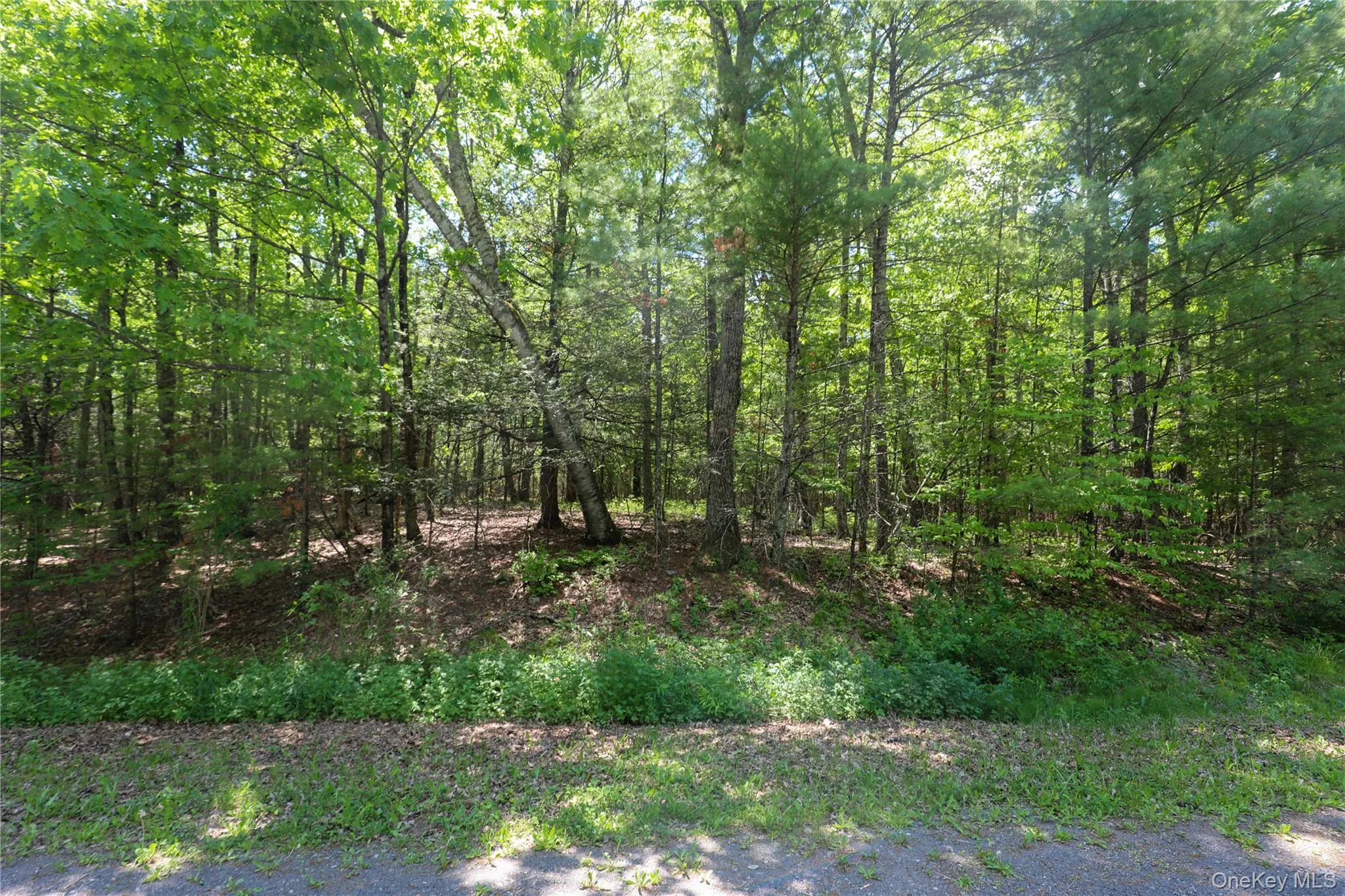 TBD Bristol Hill Road, Hurley, NY, ,Land,For Rent,Bristol Hill,0,1002769 TBD Bristol Hill Road, Hurley, NY, ,Land,For Rent,Bristol Hill,0,1002769