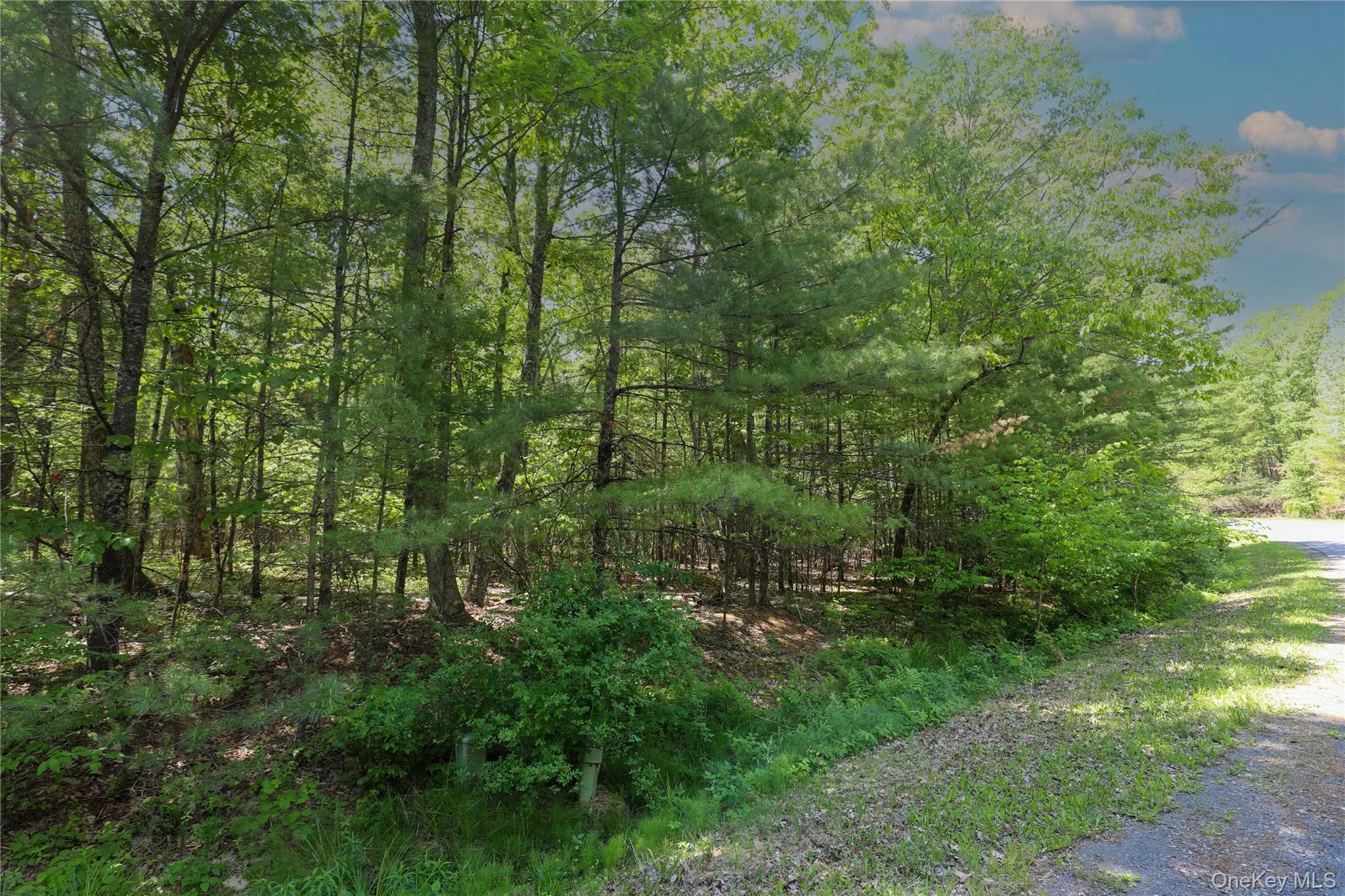 TBD Bristol Hill Road, Hurley, NY, ,Land,For Rent,Bristol Hill,0,1002769 TBD Bristol Hill Road, Hurley, NY, ,Land,For Rent,Bristol Hill,0,1002769