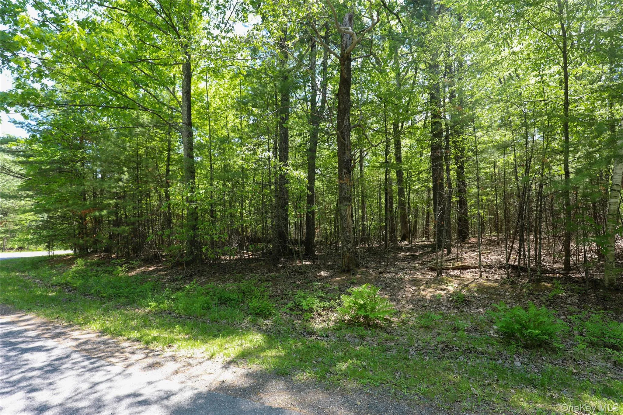TBD Bristol Hill Road, Hurley, NY, ,Land,For Rent,Bristol Hill,0,1002769 TBD Bristol Hill Road, Hurley, NY, ,Land,For Rent,Bristol Hill,0,1002769