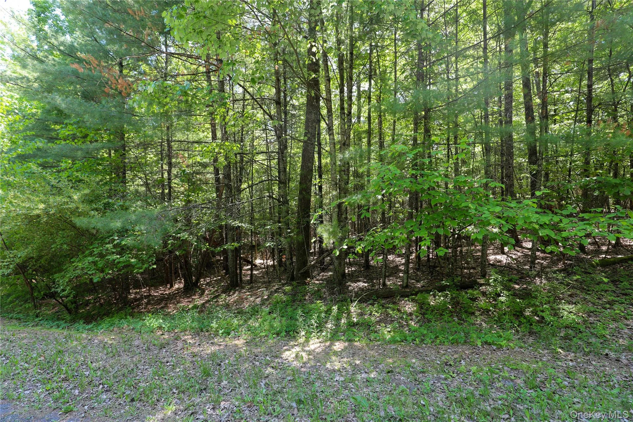 TBD Bristol Hill Road, Hurley, NY, ,Land,For Rent,Bristol Hill,0,1002769 TBD Bristol Hill Road, Hurley, NY, ,Land,For Rent,Bristol Hill,0,1002769