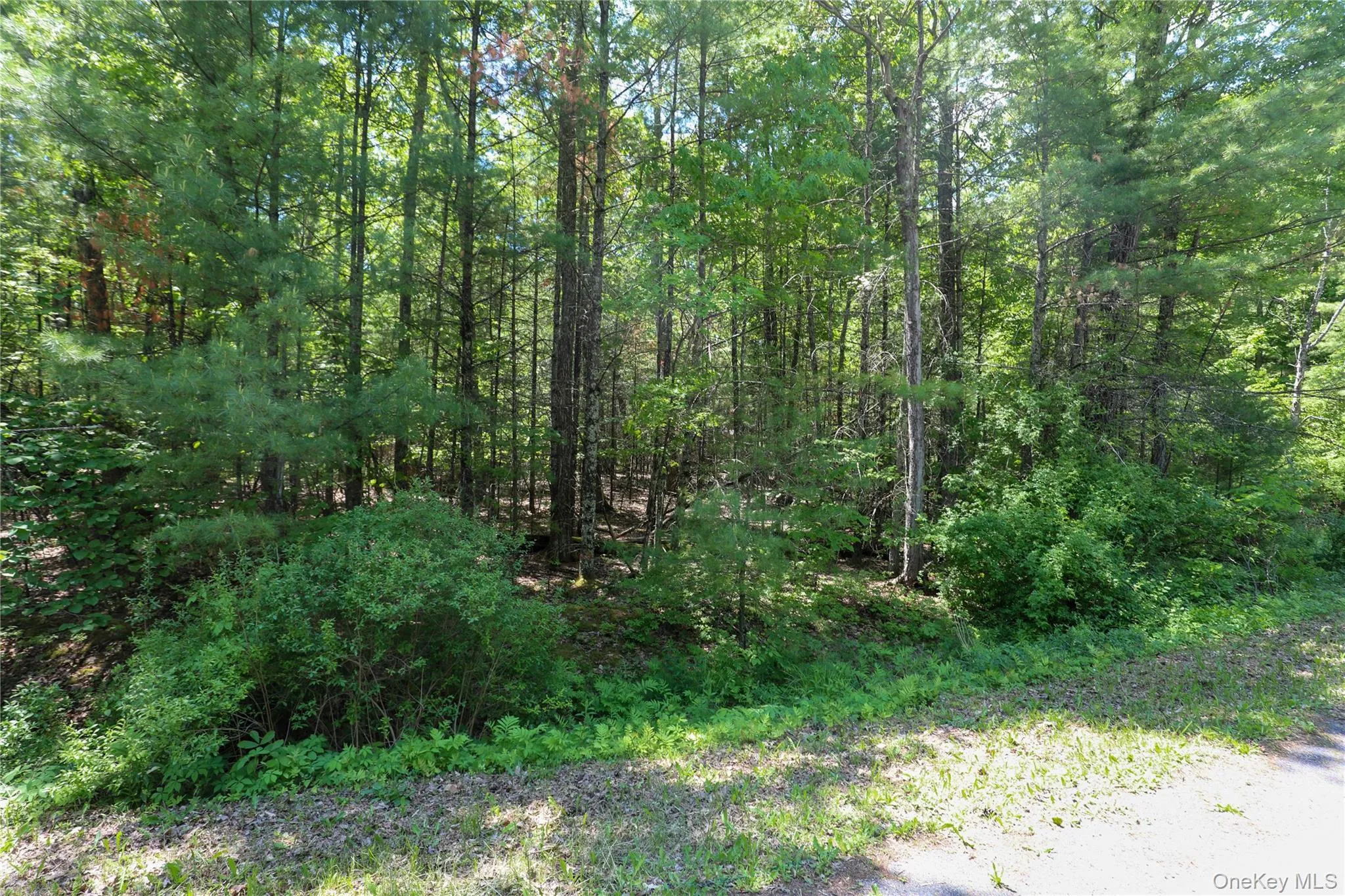 TBD Bristol Hill Road, Hurley, NY, ,Land,For Rent,Bristol Hill,0,1002769 TBD Bristol Hill Road, Hurley, NY, ,Land,For Rent,Bristol Hill,0,1002769