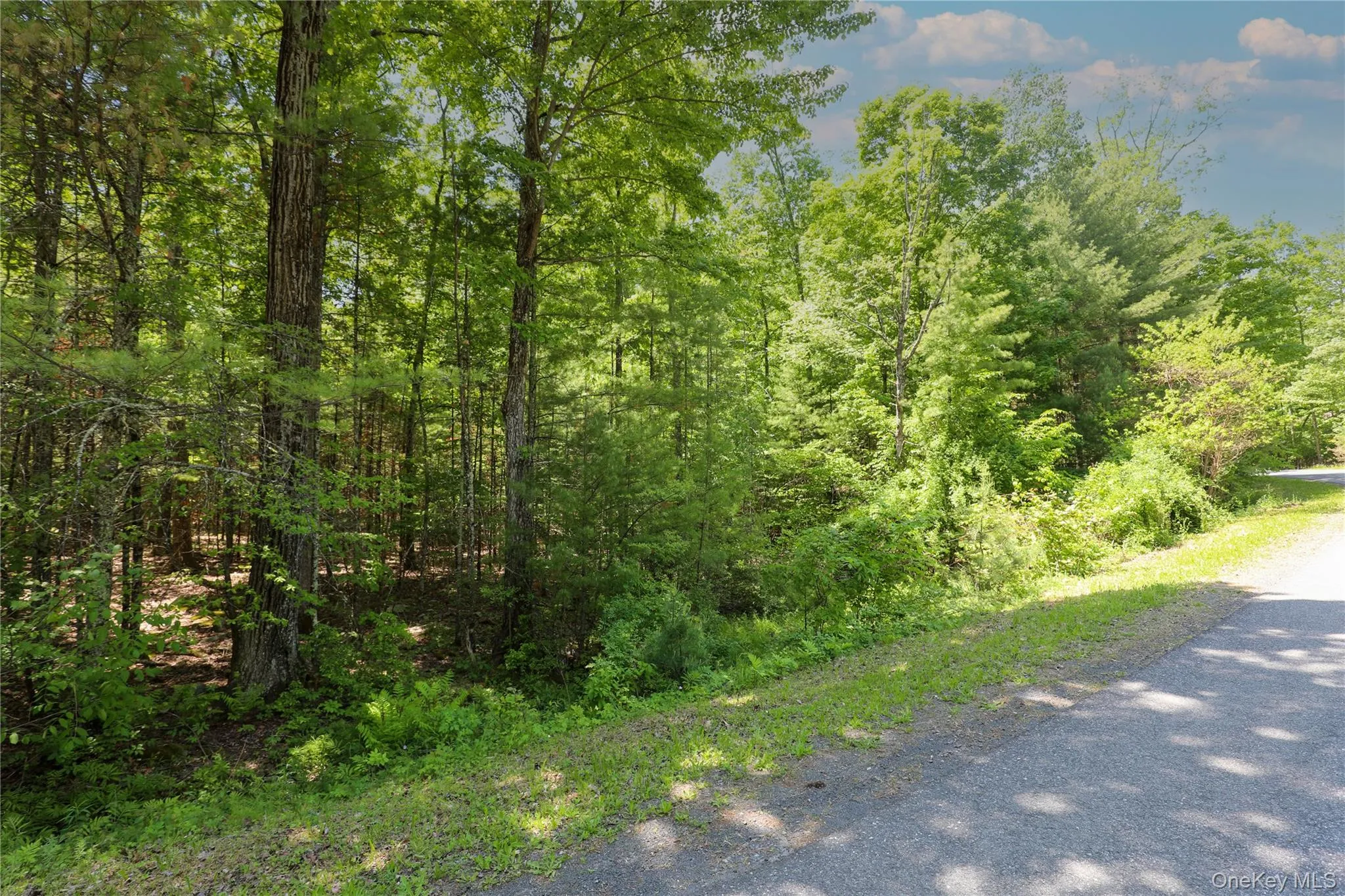 TBD Bristol Hill Road, Hurley, NY, ,Land,For Rent,Bristol Hill,0,1002769 TBD Bristol Hill Road, Hurley, NY, ,Land,For Rent,Bristol Hill,0,1002769