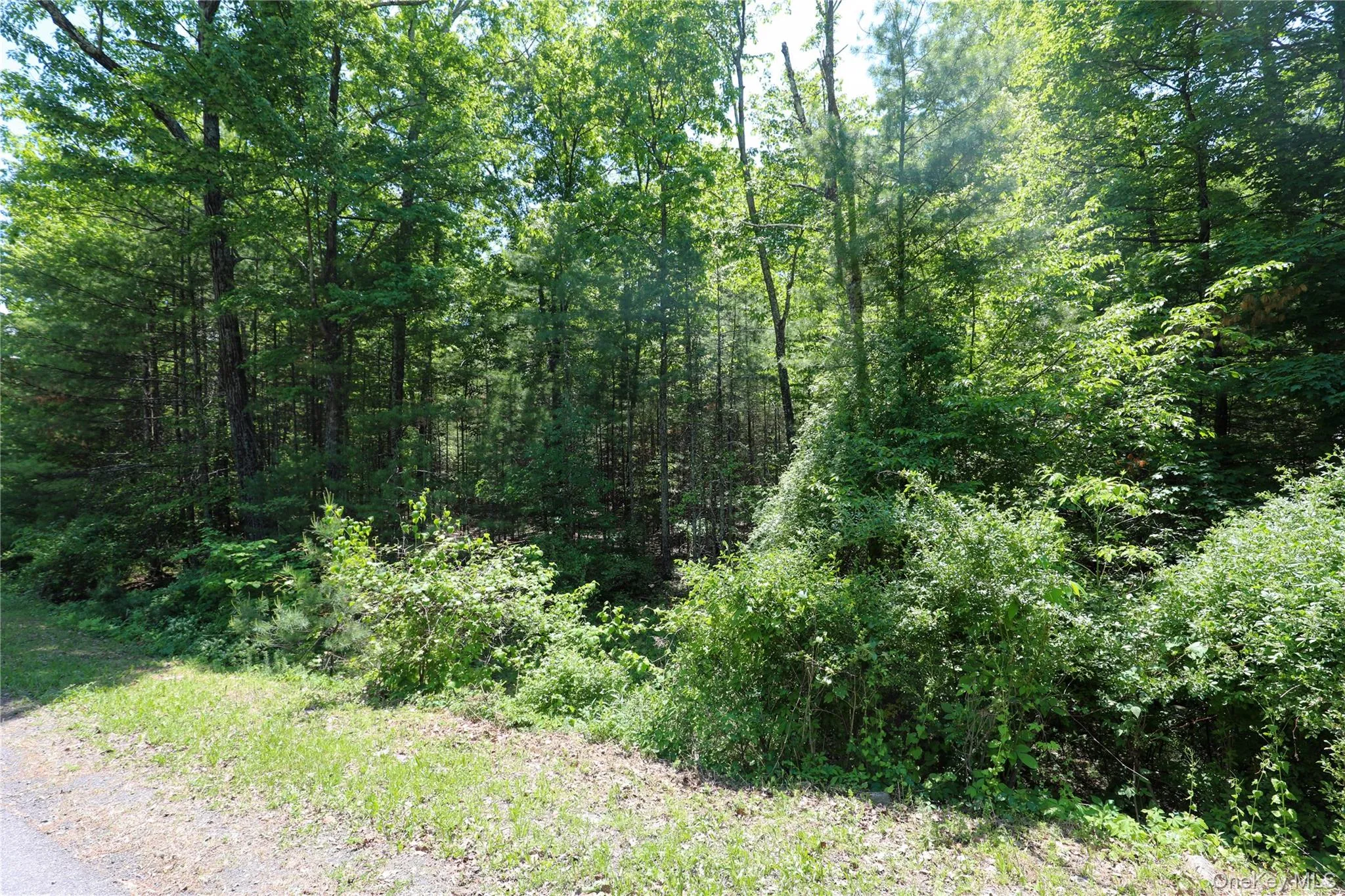 TBD Bristol Hill Road, Hurley, NY, ,Land,For Rent,Bristol Hill,0,1002769 TBD Bristol Hill Road, Hurley, NY, ,Land,For Rent,Bristol Hill,0,1002769
