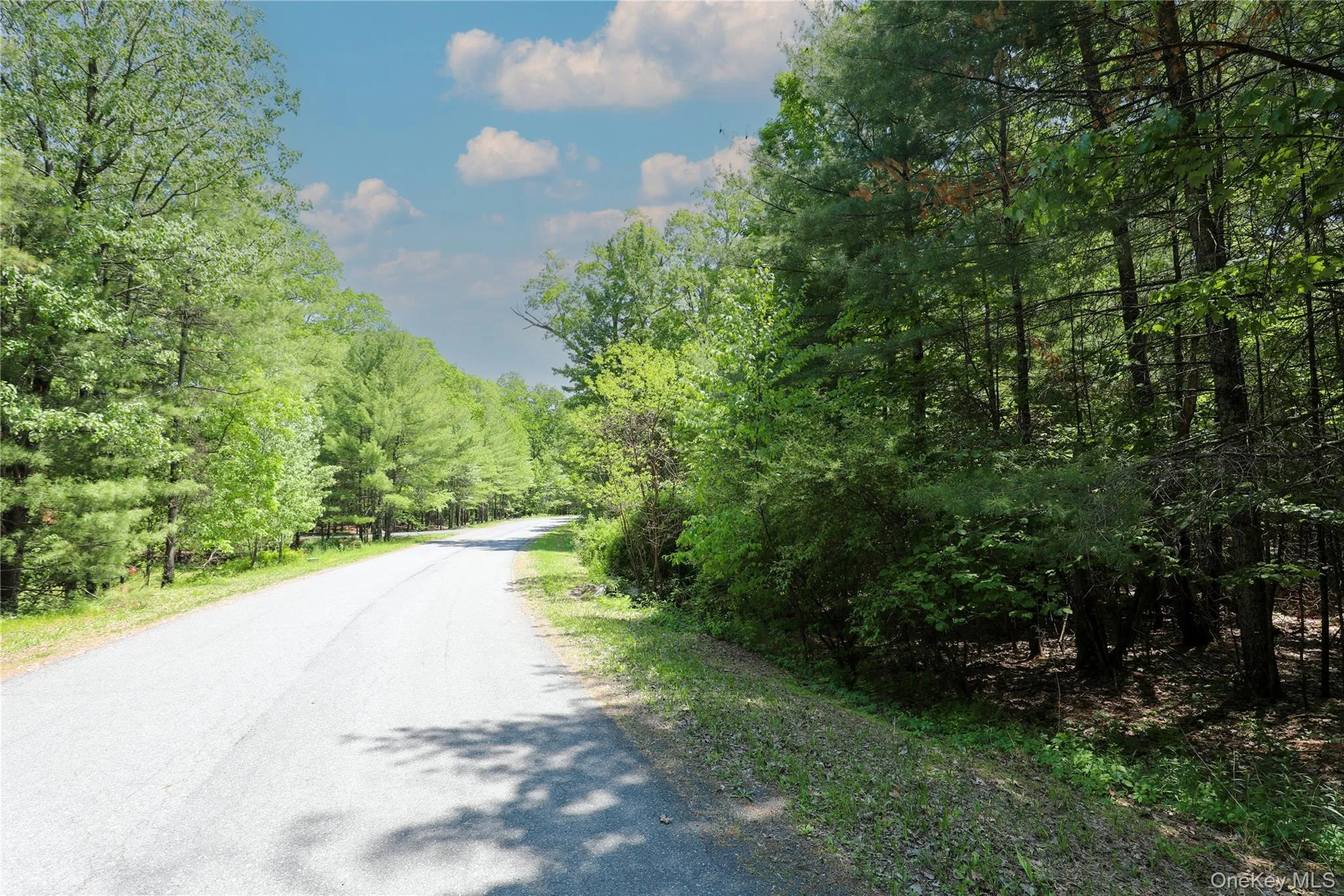 TBD Bristol Hill Road, Hurley, NY, ,Land,For Rent,Bristol Hill,0,1002769 TBD Bristol Hill Road, Hurley, NY, ,Land,For Rent,Bristol Hill,0,1002769