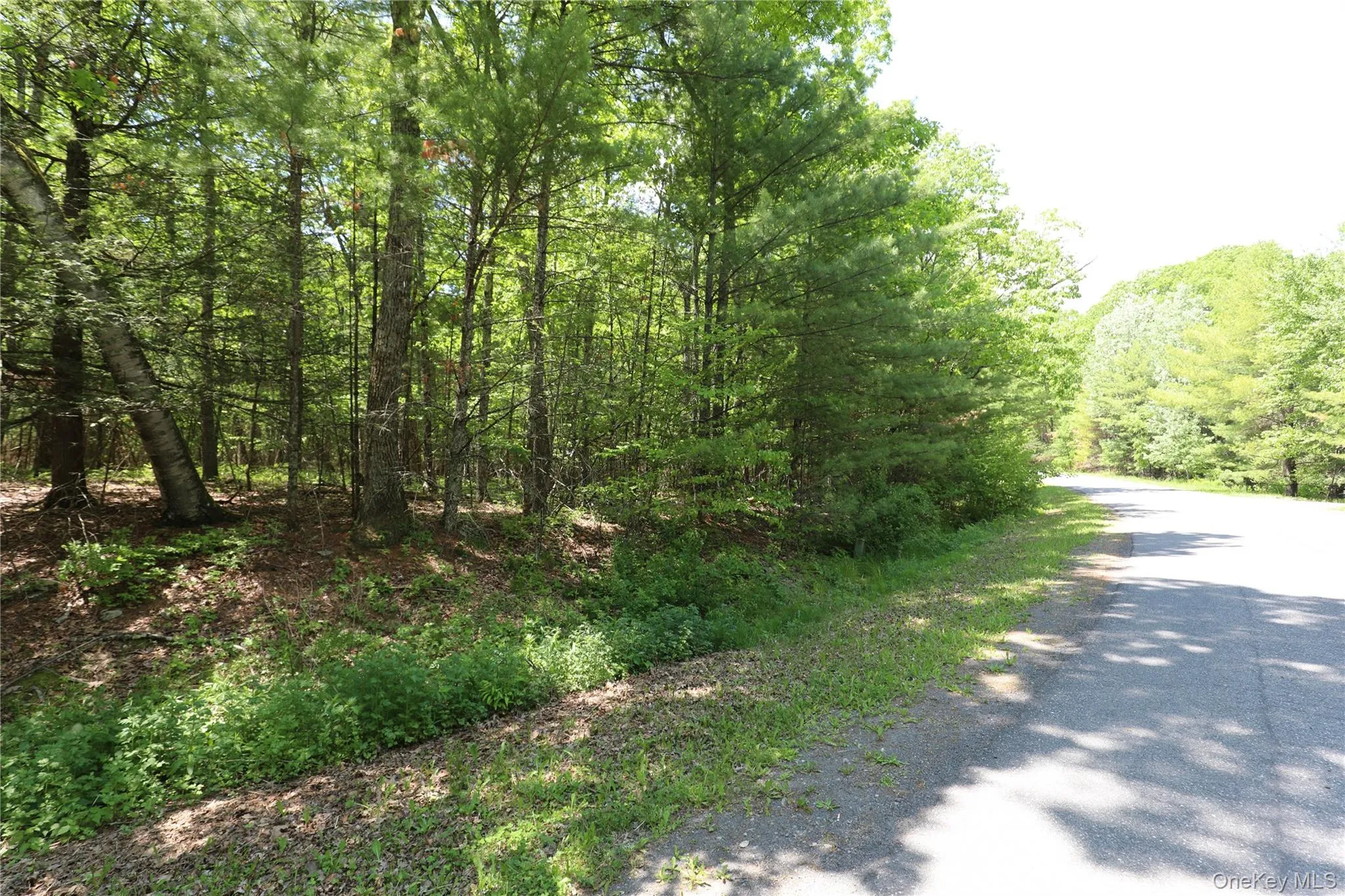 TBD Bristol Hill Road, Hurley, NY, ,Land,For Rent,Bristol Hill,0,1002769 TBD Bristol Hill Road, Hurley, NY, ,Land,For Rent,Bristol Hill,0,1002769