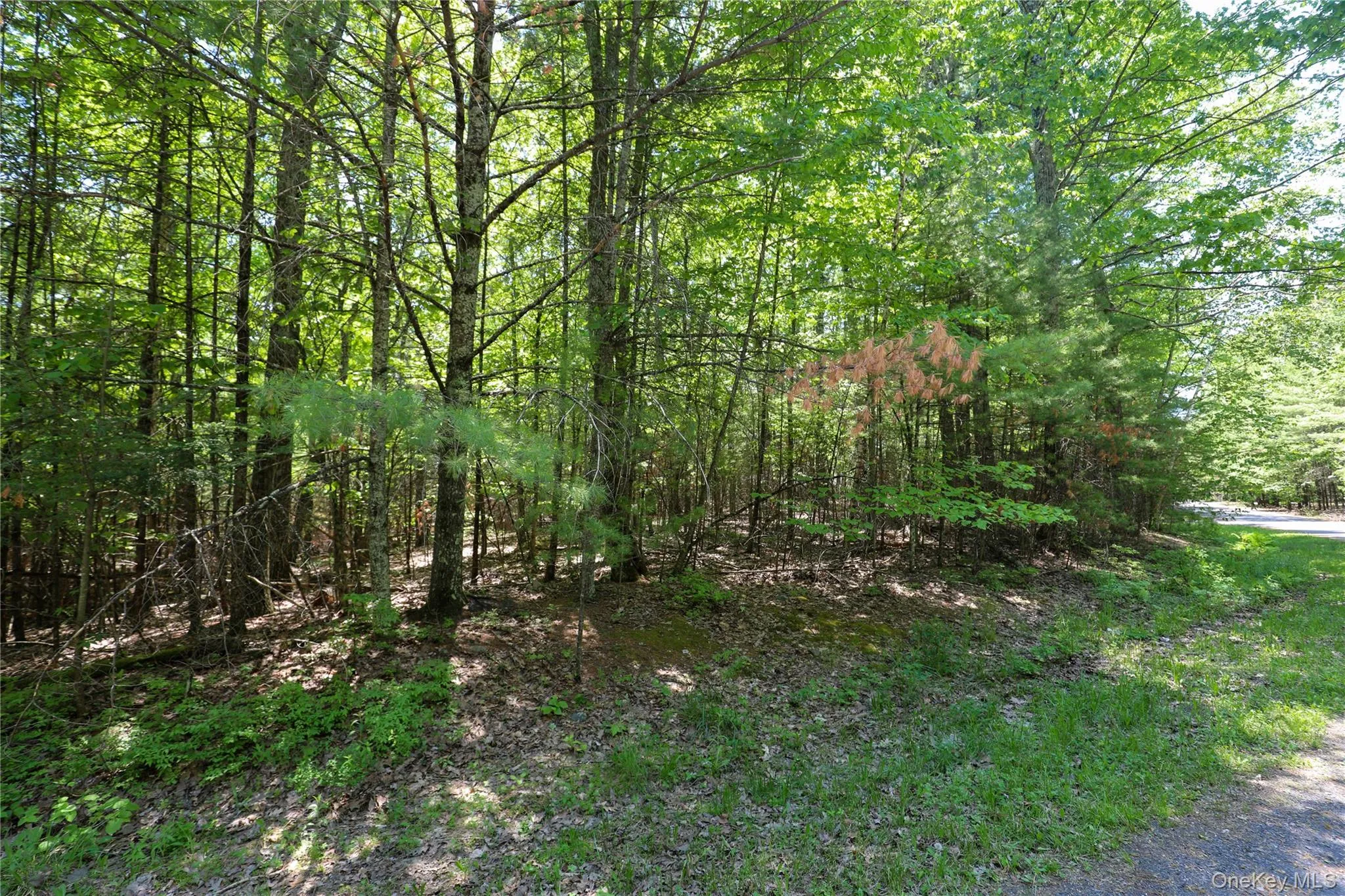 TBD Bristol Hill Road, Hurley, NY, ,Land,For Rent,Bristol Hill,0,1002769 TBD Bristol Hill Road, Hurley, NY, ,Land,For Rent,Bristol Hill,0,1002769