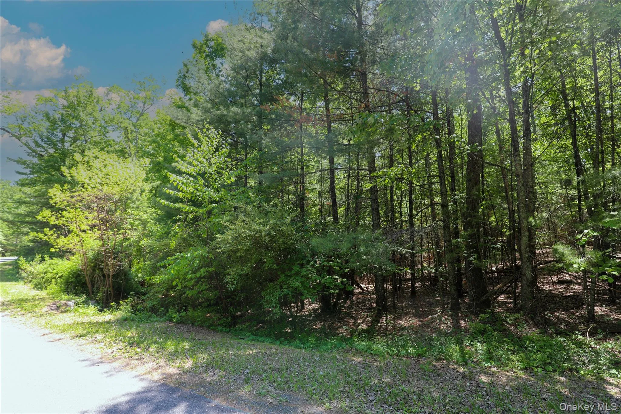 TBD Bristol Hill Road, Hurley, NY, ,Land,For Rent,Bristol Hill,0,1002769 TBD Bristol Hill Road, Hurley, NY, ,Land,For Rent,Bristol Hill,0,1002769