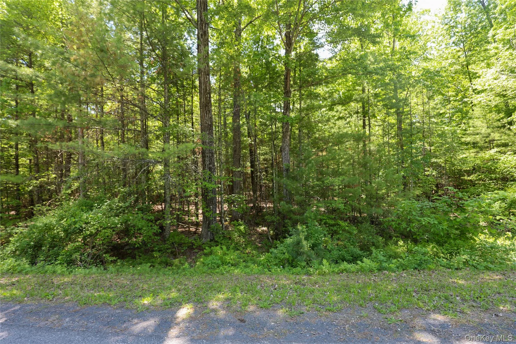 TBD Bristol Hill Road, Hurley, NY, ,Land,For Rent,Bristol Hill,0,1002769 TBD Bristol Hill Road, Hurley, NY, ,Land,For Rent,Bristol Hill,0,1002769