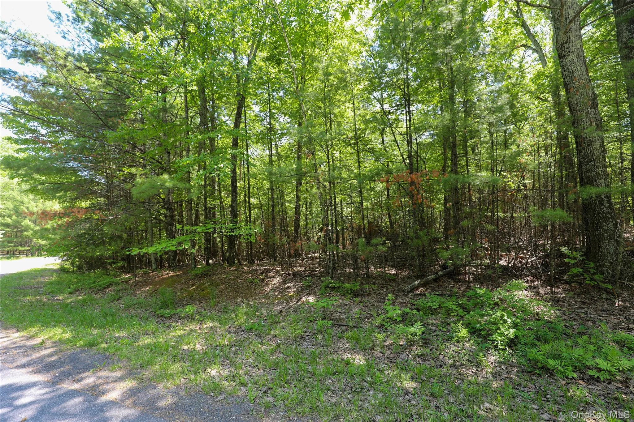 TBD Bristol Hill Road, Hurley, NY, ,Land,For Rent,Bristol Hill,0,1002769 TBD Bristol Hill Road, Hurley, NY, ,Land,For Rent,Bristol Hill,0,1002769