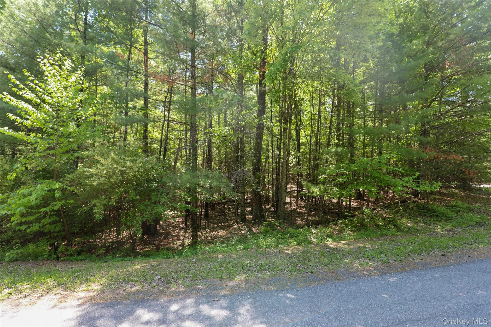 TBD Bristol Hill Road, Hurley, NY, ,Land,For Rent,Bristol Hill,0,1002769 TBD Bristol Hill Road, Hurley, NY, ,Land,For Rent,Bristol Hill,0,1002769