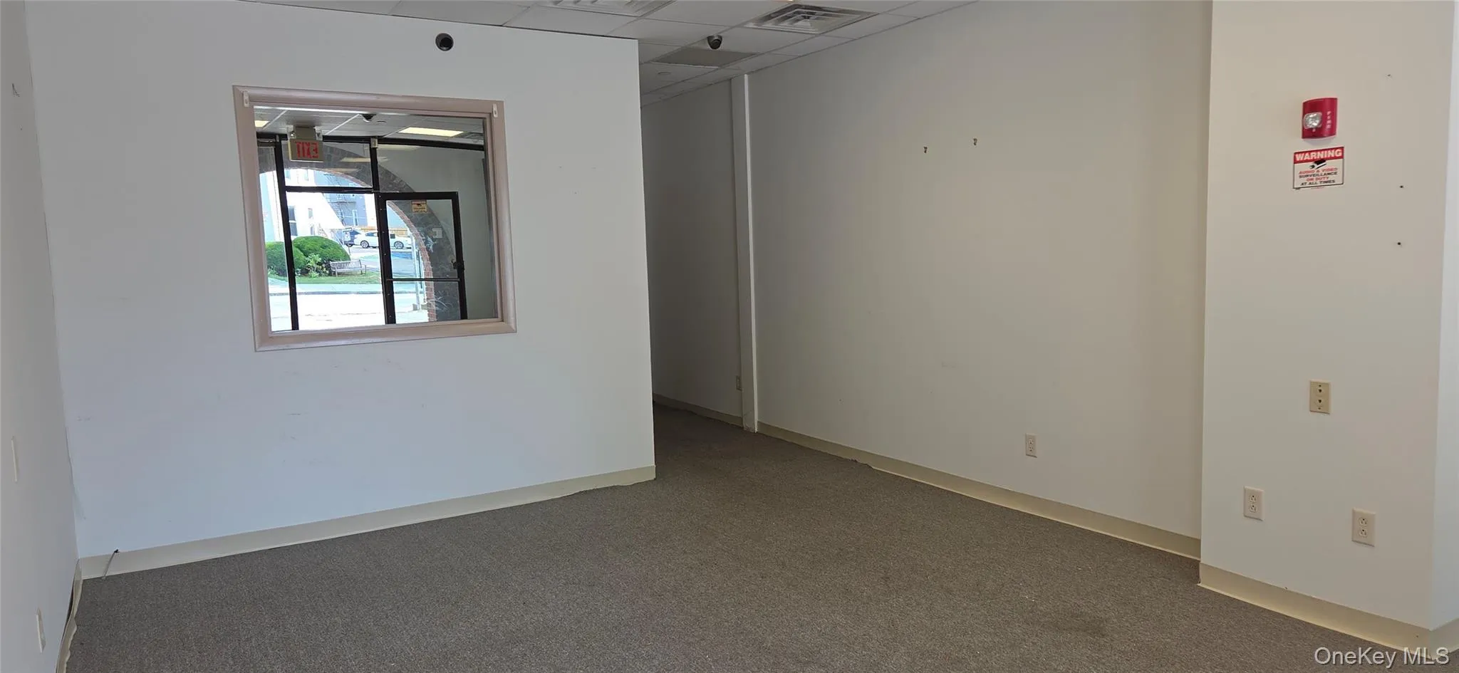 Empty room with carpet and a drop ceiling Empty room with carpet and a drop ceiling