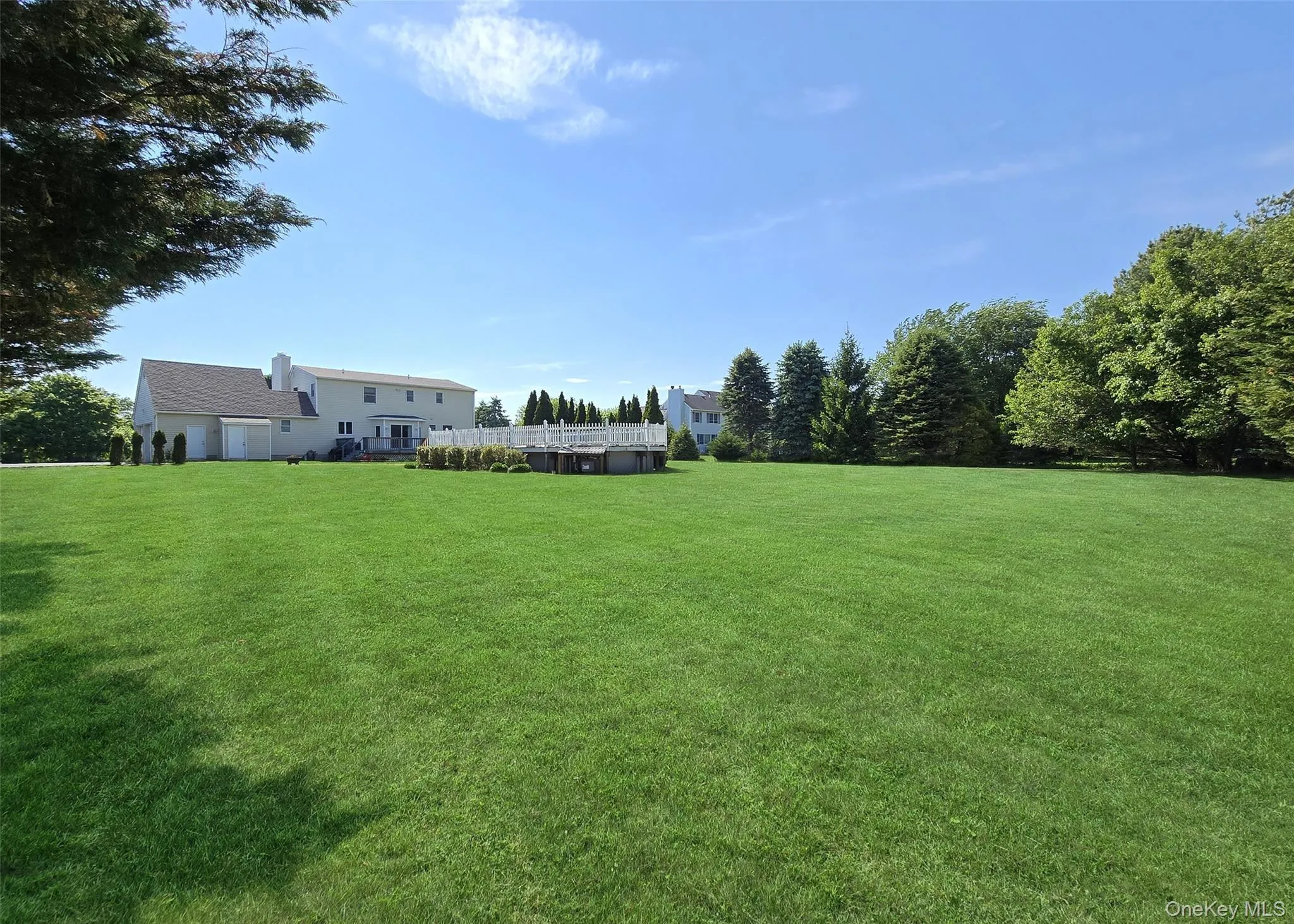 Spacious Backyard Spacious Backyard