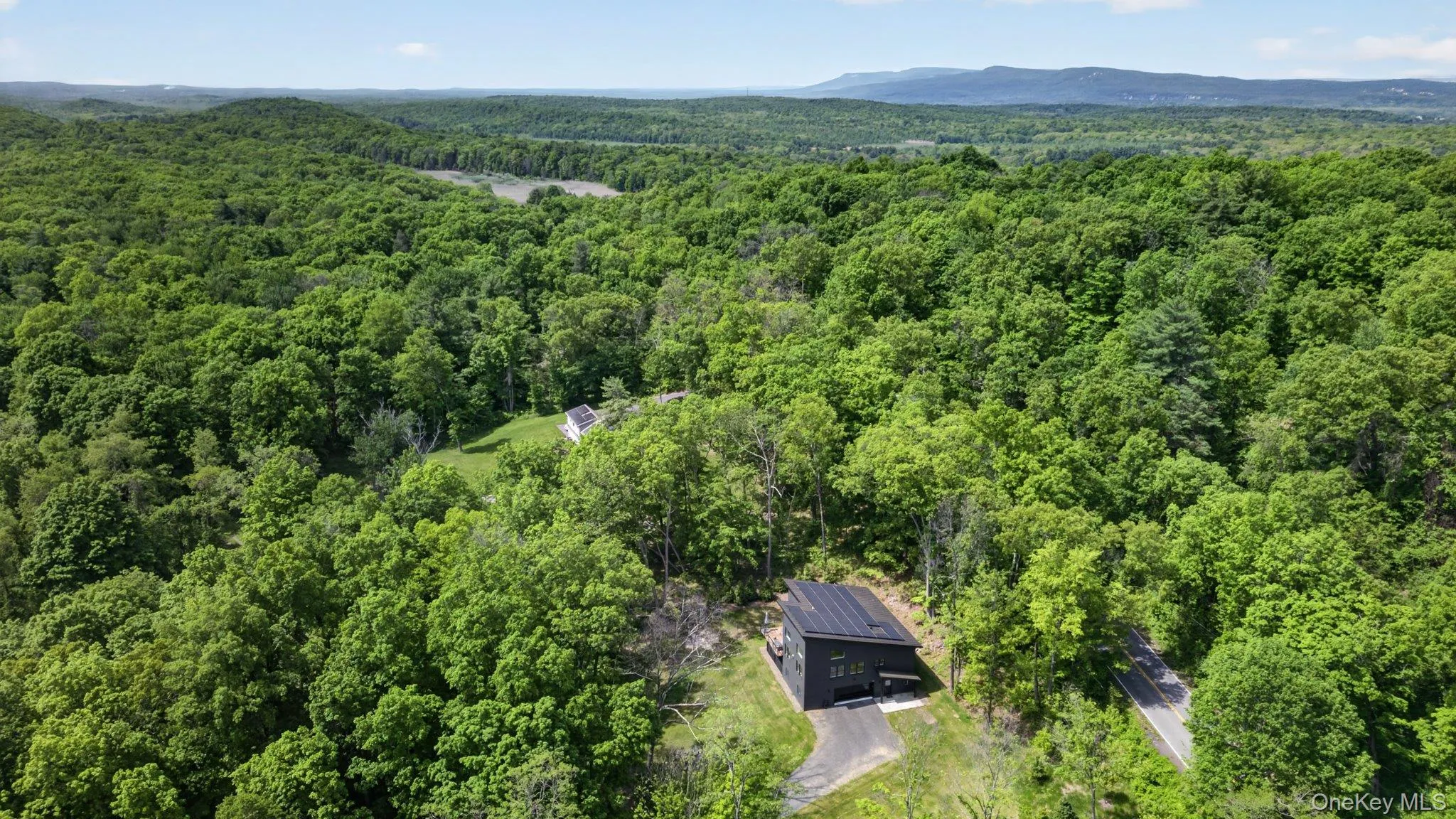 A modern dwelling situated among extensive mature tree coverage A modern dwelling situated among extensive mature tree coverage
