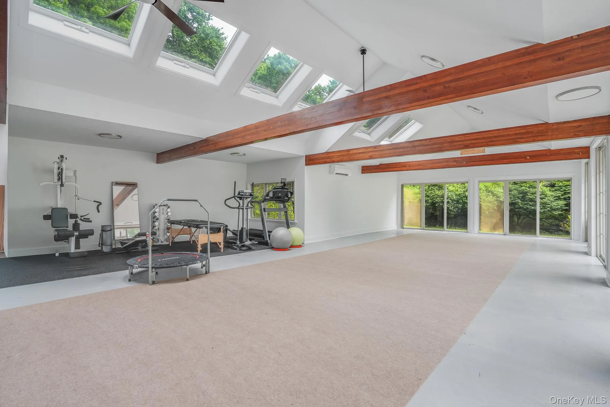 Bonus Room/ Exercise Room (Almost 1,000 sq ft) Bonus Room/ Exercise Room (Almost 1,000 sq ft)