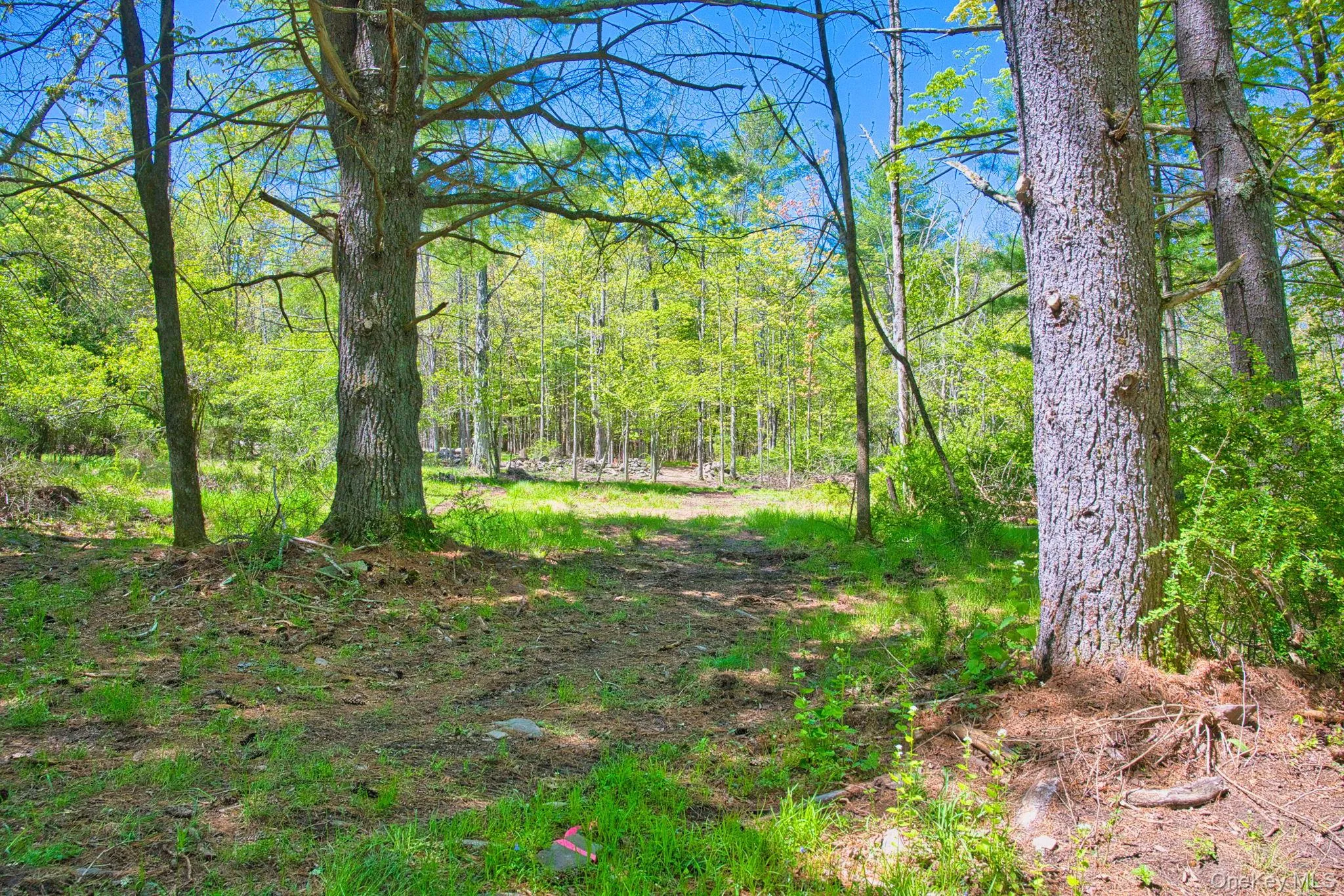 334 Yerry Hill Road, Woodstock, NY, ,Land,For Rent,Yerry Hill,0,1002847 334 Yerry Hill Road, Woodstock, NY, ,Land,For Rent,Yerry Hill,0,1002847