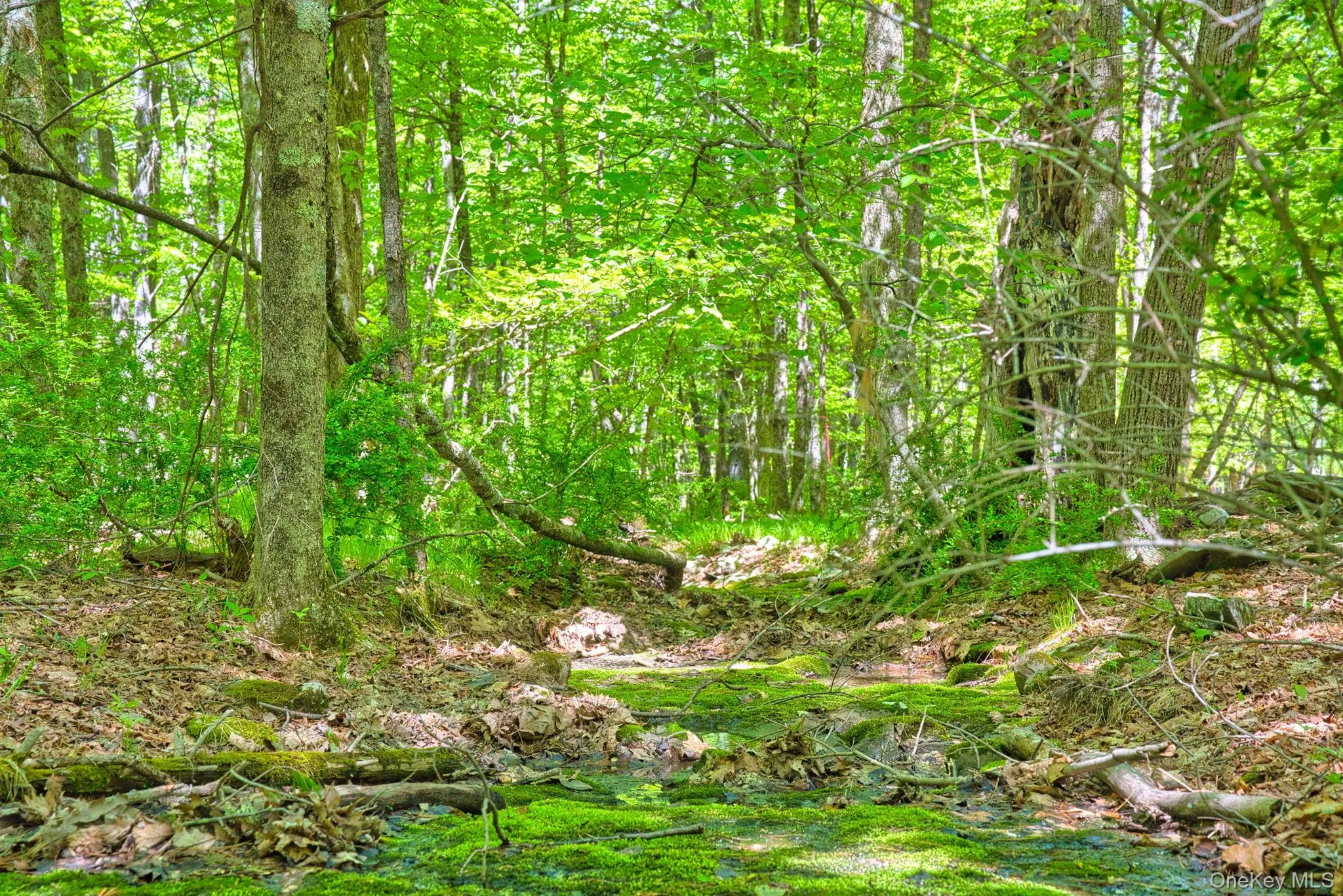 334 Yerry Hill Road, Woodstock, NY, ,Land,For Rent,Yerry Hill,0,1002847 334 Yerry Hill Road, Woodstock, NY, ,Land,For Rent,Yerry Hill,0,1002847