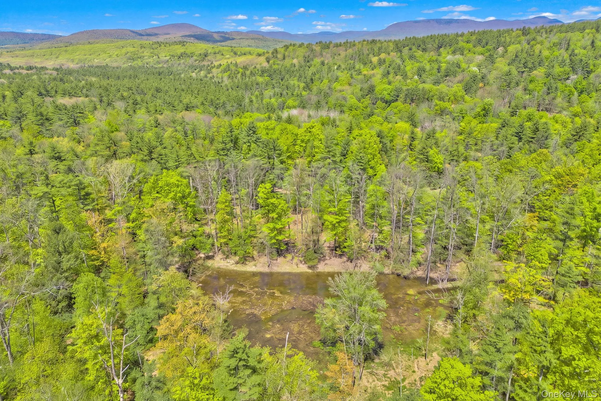 334 Yerry Hill Road, Woodstock, NY, ,Land,For Rent,Yerry Hill,0,1002847 334 Yerry Hill Road, Woodstock, NY, ,Land,For Rent,Yerry Hill,0,1002847