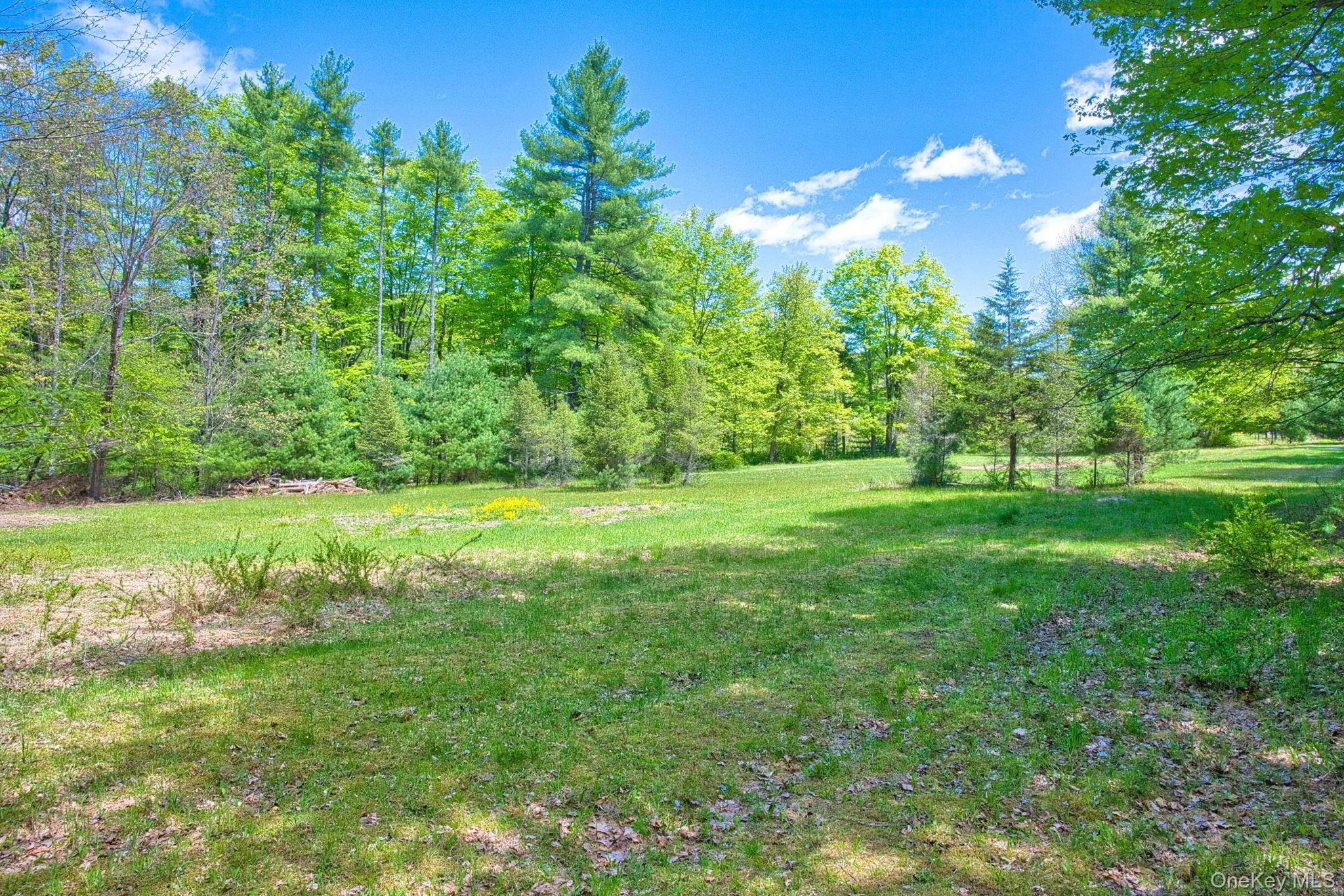 334 Yerry Hill Road, Woodstock, NY, ,Land,For Rent,Yerry Hill,0,1002847 334 Yerry Hill Road, Woodstock, NY, ,Land,For Rent,Yerry Hill,0,1002847