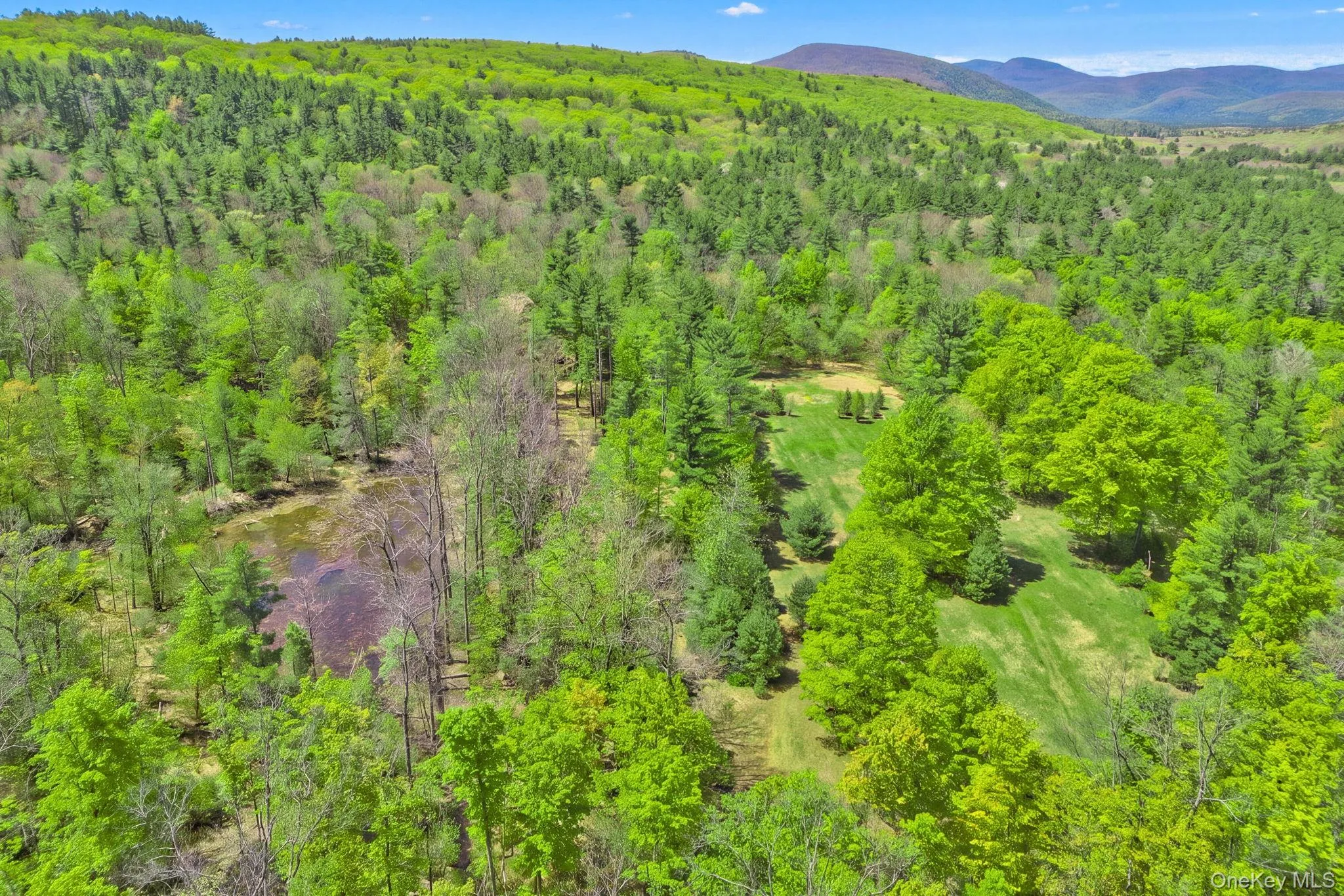 334 Yerry Hill Road, Woodstock, NY, ,Land,For Rent,Yerry Hill,0,1002847 334 Yerry Hill Road, Woodstock, NY, ,Land,For Rent,Yerry Hill,0,1002847