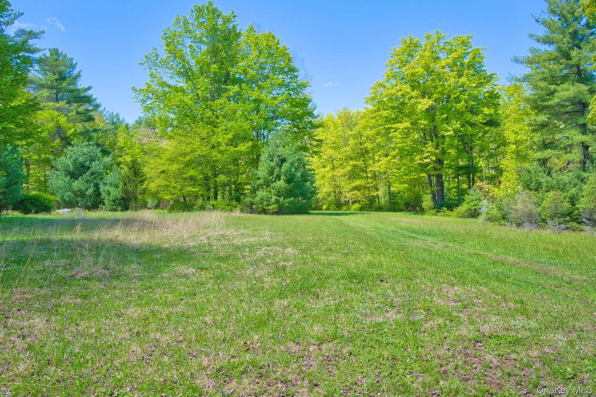 334 Yerry Hill Road, Woodstock, NY, ,Land,For Rent,Yerry Hill,0,1002847 334 Yerry Hill Road, Woodstock, NY, ,Land,For Rent,Yerry Hill,0,1002847