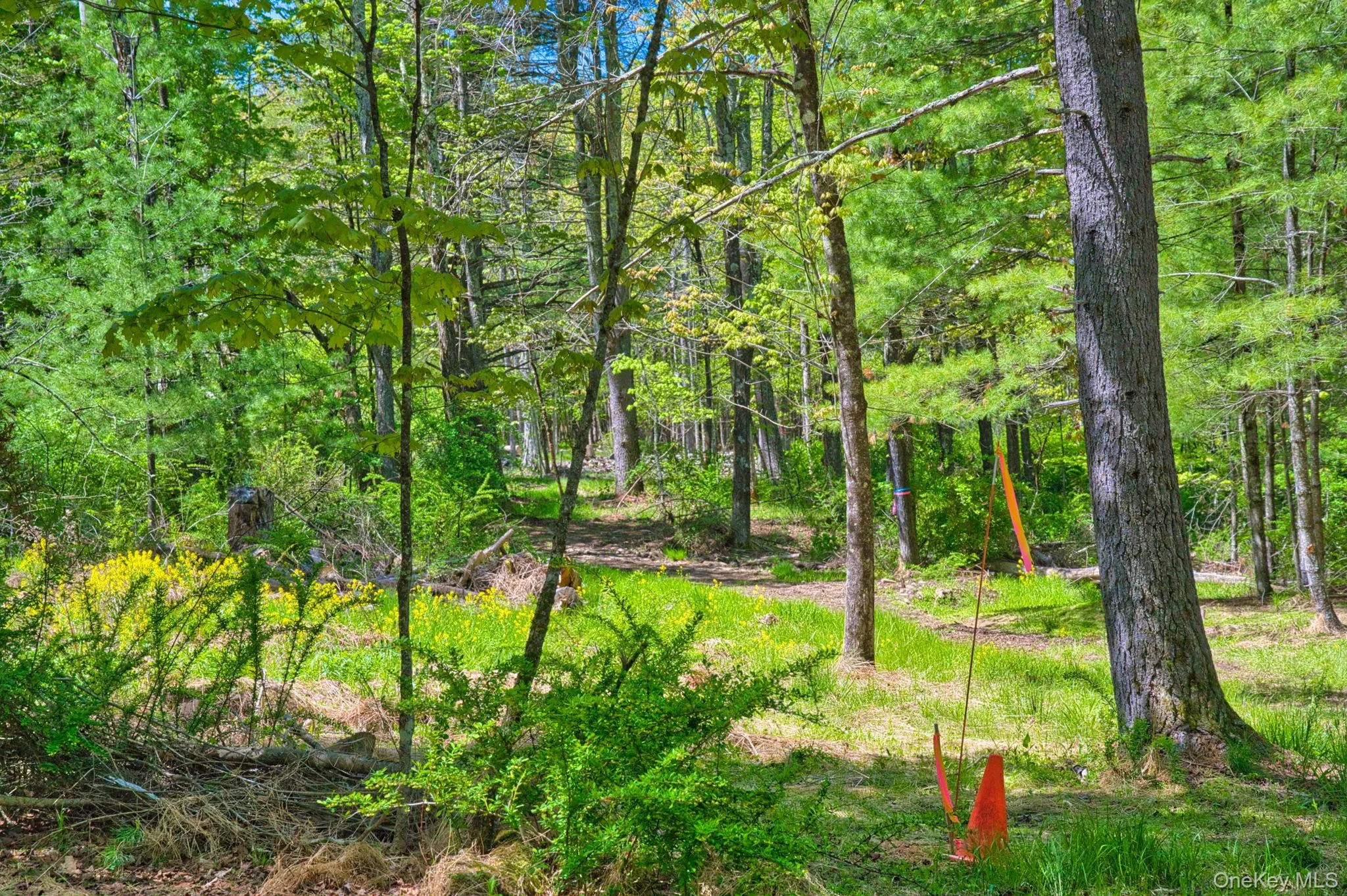 334 Yerry Hill Road, Woodstock, NY, ,Land,For Rent,Yerry Hill,0,1002847 334 Yerry Hill Road, Woodstock, NY, ,Land,For Rent,Yerry Hill,0,1002847