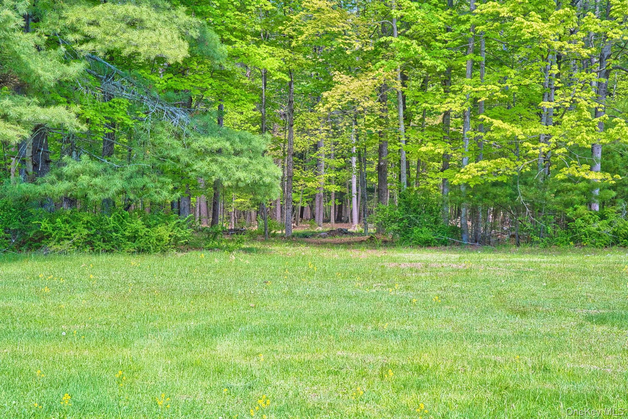 334 Yerry Hill Road, Woodstock, NY, ,Land,For Rent,Yerry Hill,0,1002847 334 Yerry Hill Road, Woodstock, NY, ,Land,For Rent,Yerry Hill,0,1002847