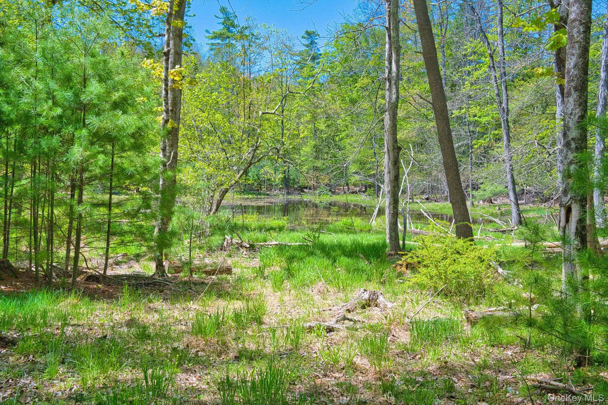 334 Yerry Hill Road, Woodstock, NY, ,Land,For Rent,Yerry Hill,0,1002847 334 Yerry Hill Road, Woodstock, NY, ,Land,For Rent,Yerry Hill,0,1002847