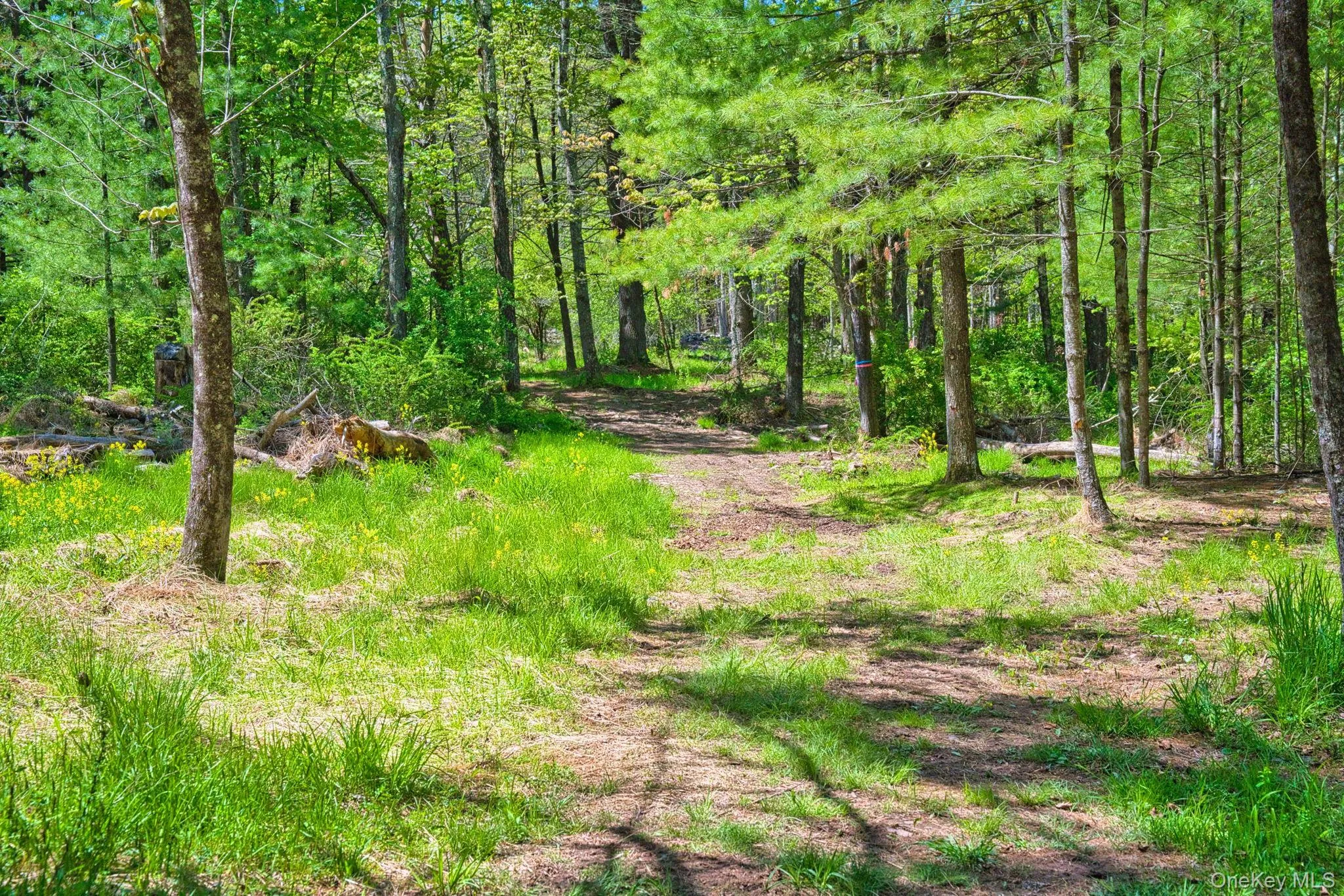 334 Yerry Hill Road, Woodstock, NY, ,Land,For Rent,Yerry Hill,0,1002847 334 Yerry Hill Road, Woodstock, NY, ,Land,For Rent,Yerry Hill,0,1002847