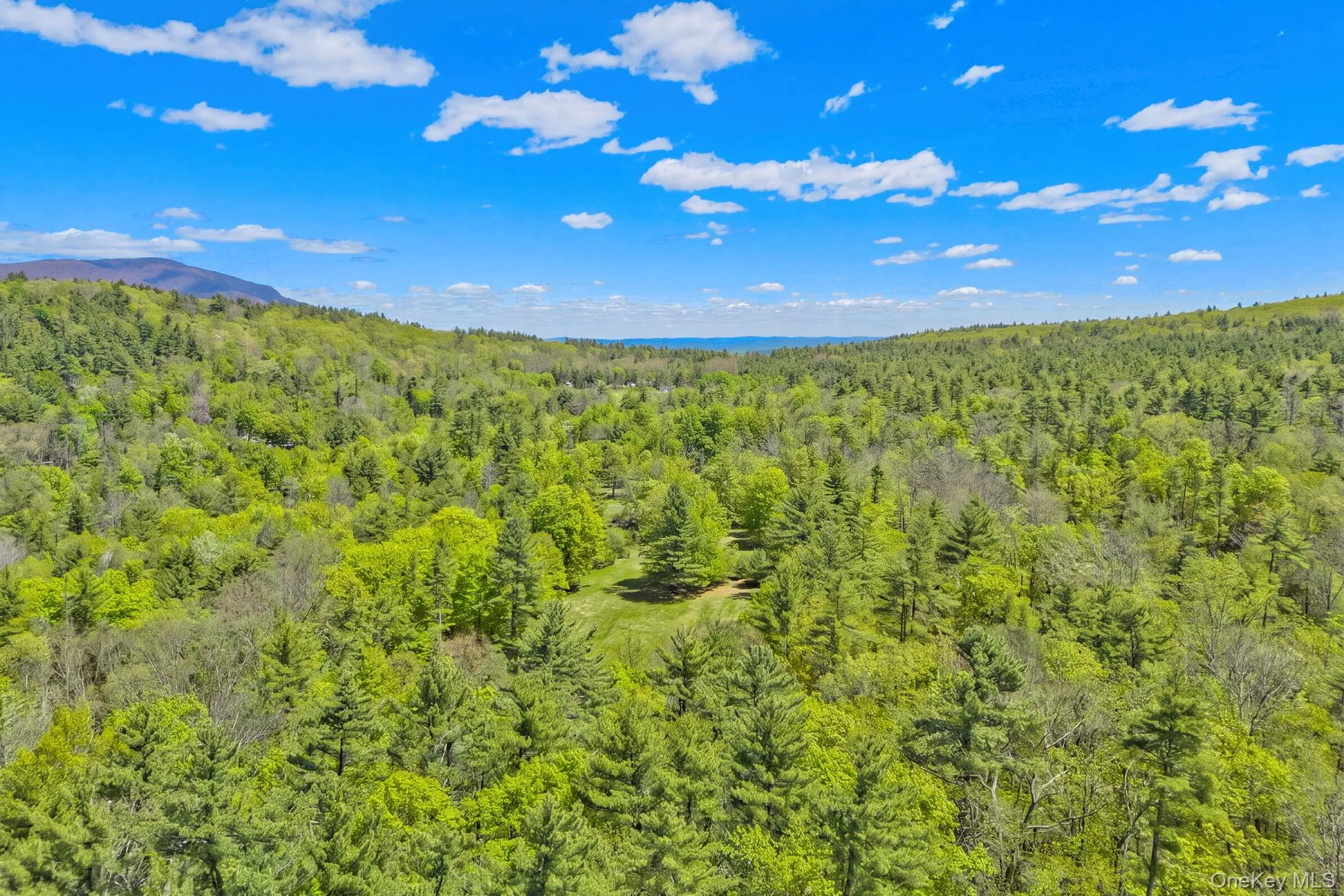 334 Yerry Hill Road, Woodstock, NY, ,Land,For Rent,Yerry Hill,0,1002847 334 Yerry Hill Road, Woodstock, NY, ,Land,For Rent,Yerry Hill,0,1002847
