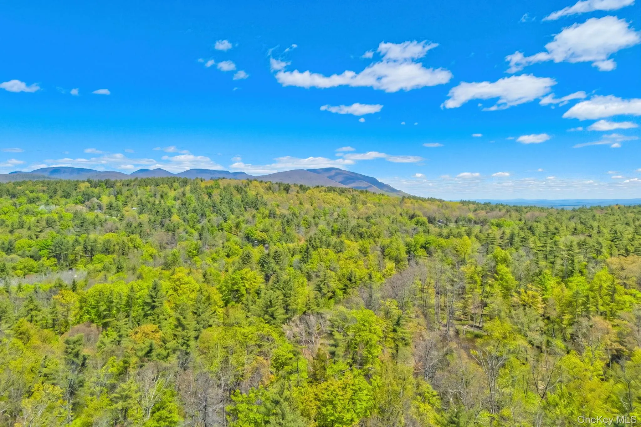 334 Yerry Hill Road, Woodstock, NY, ,Land,For Rent,Yerry Hill,0,1002847 334 Yerry Hill Road, Woodstock, NY, ,Land,For Rent,Yerry Hill,0,1002847