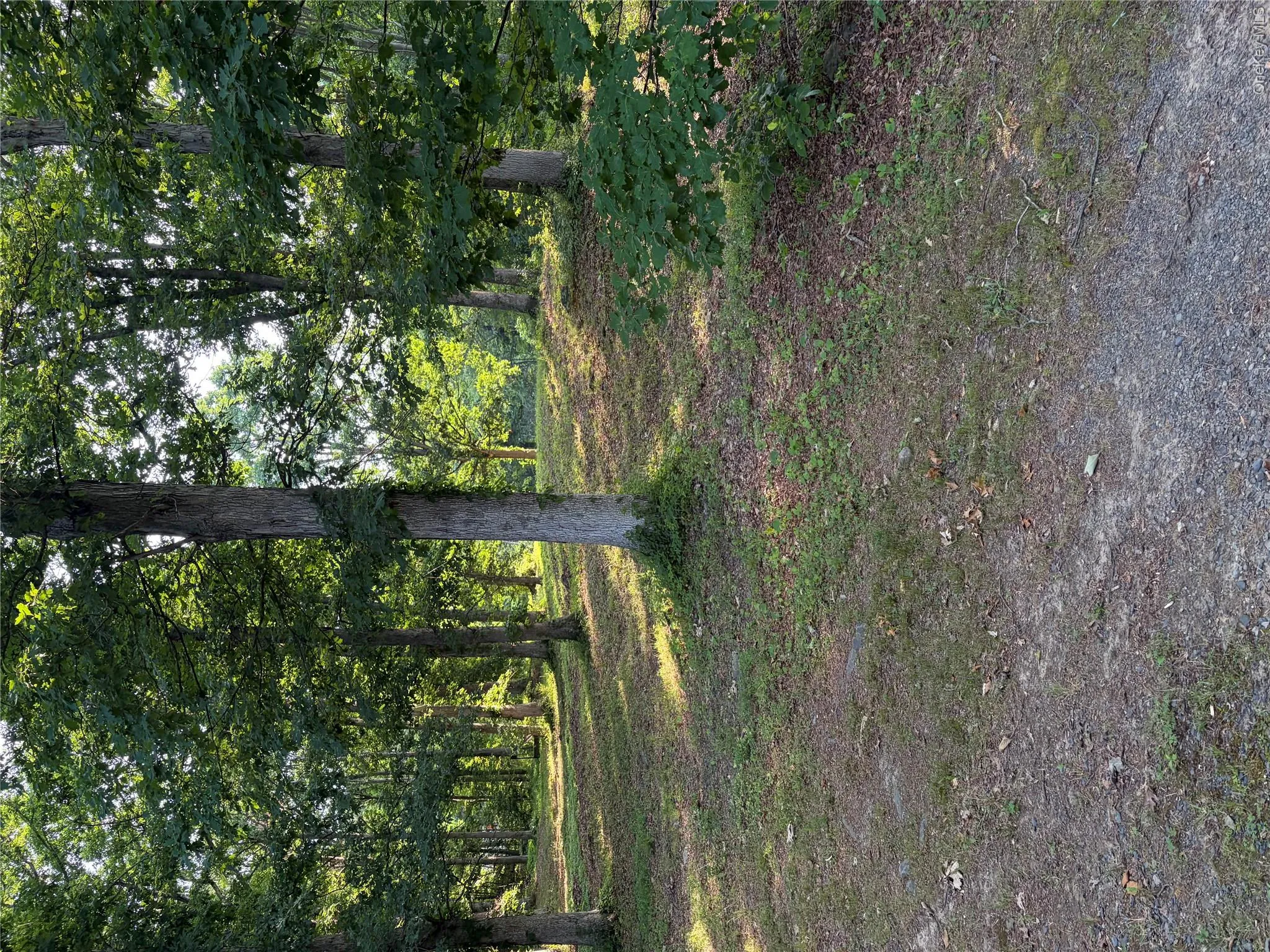 100 Decker Road, Plattekill, NY, 2 Bedrooms Bedrooms, 6 Rooms Rooms,1 BathroomBathrooms,Residential,For Rent,Decker,0,1002863 100 Decker Road, Plattekill, NY, 2 Bedrooms Bedrooms, 6 Rooms Rooms,1 BathroomBathrooms,Residential,For Rent,Decker,0,1002863