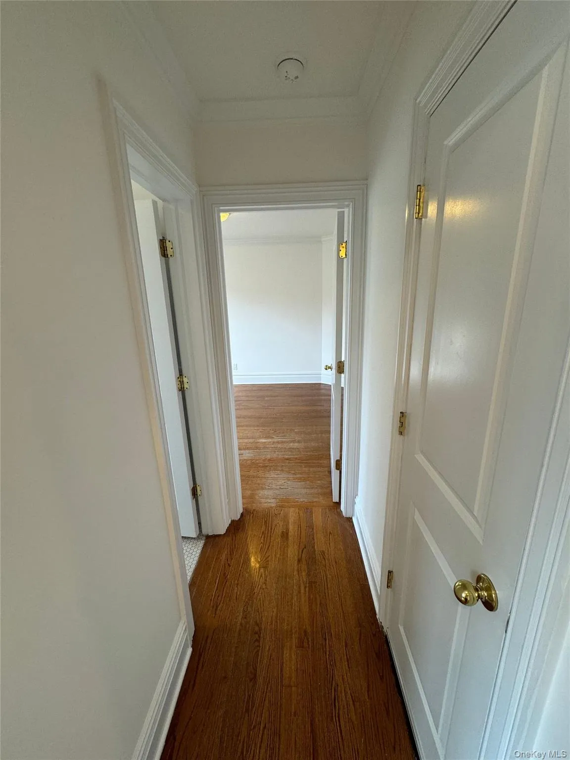 Corridor with dark wood-style flooring and ornamental molding Corridor with dark wood-style flooring and ornamental molding