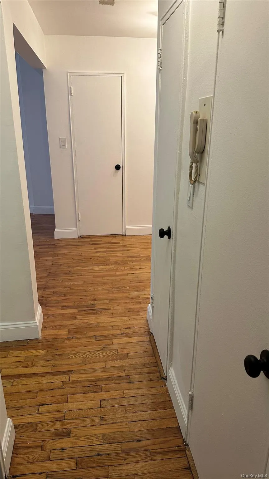 Hall between kitchen bathroom and Primary Bedroom Hall between kitchen bathroom and Primary Bedroom
