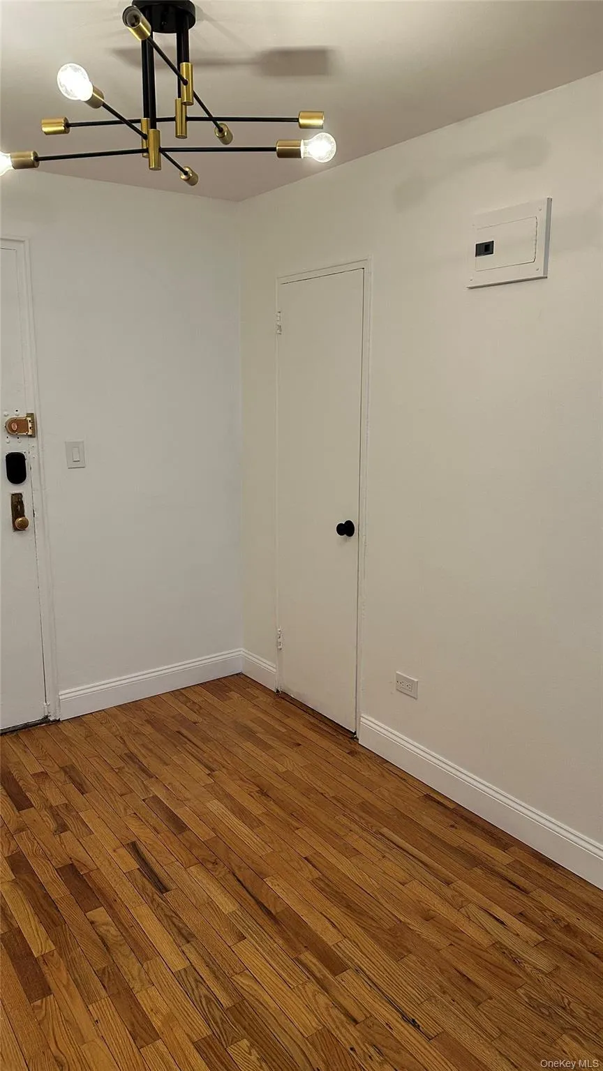 Entrance Foyer Closet. Entrance Foyer Closet.